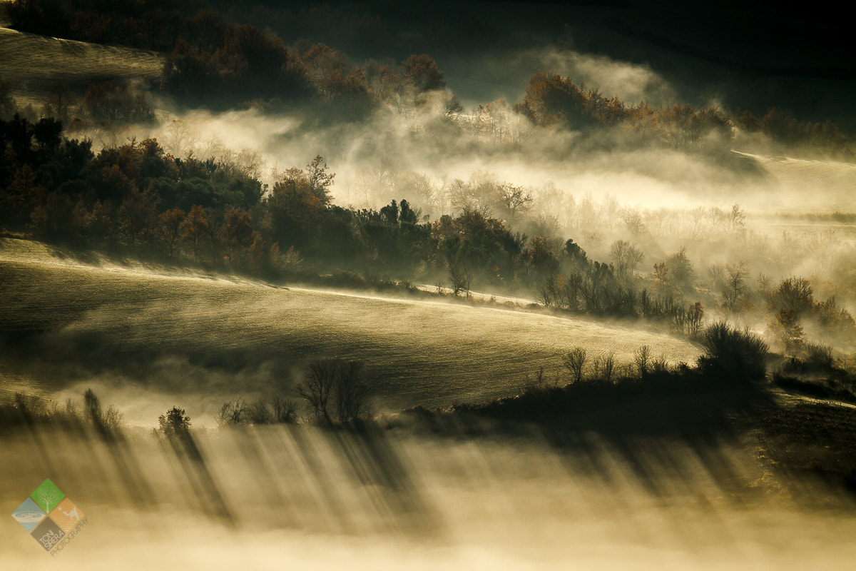 Canon EF 70-200mm F2.8L USM sample photo. Foggy day photography