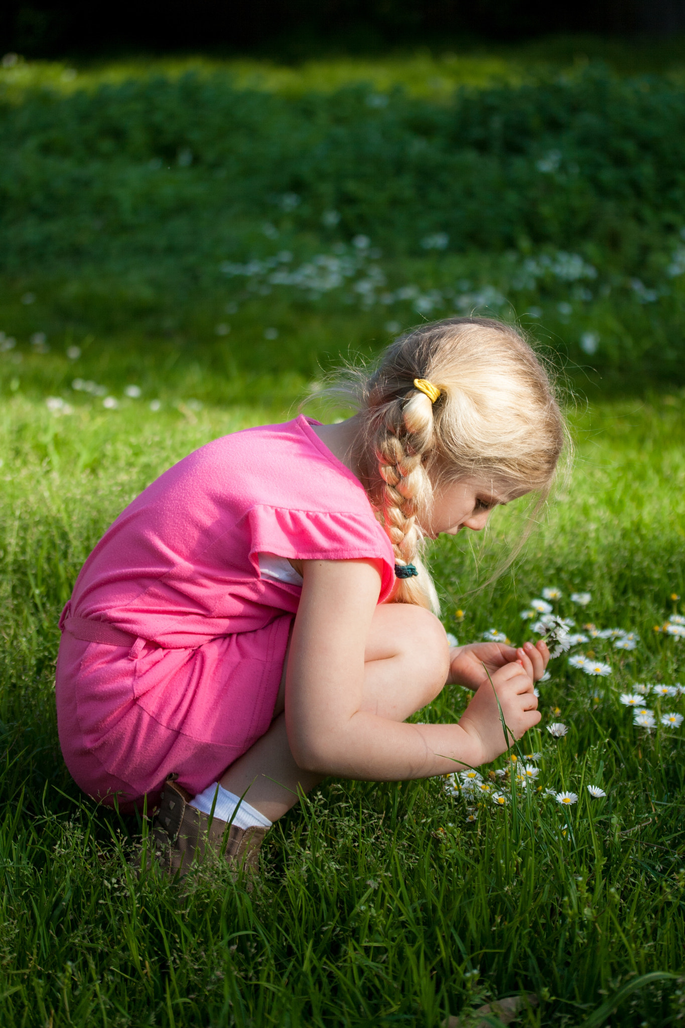 Canon EF-S 60mm F2.8 Macro USM sample photo. Picking daisies photography