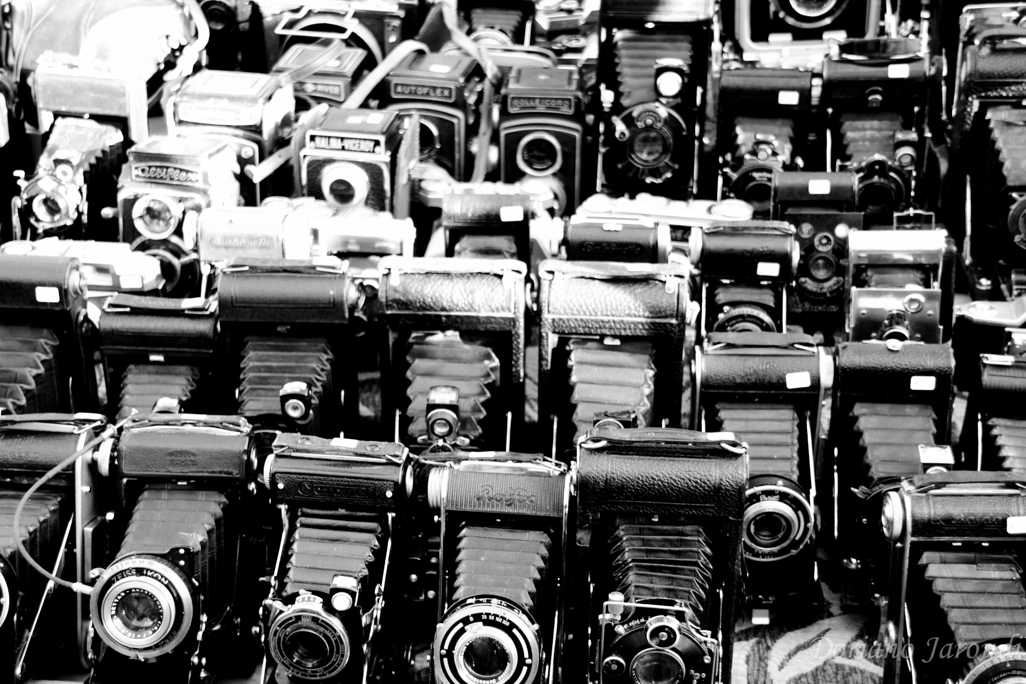 Sigma 18-200mm f/3.5-6.3 DC OS sample photo