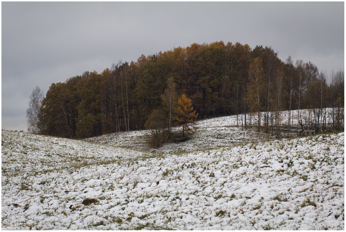 Sigma 70-200mm F2.8 EX DG OS HSM sample photo. The first snow photography
