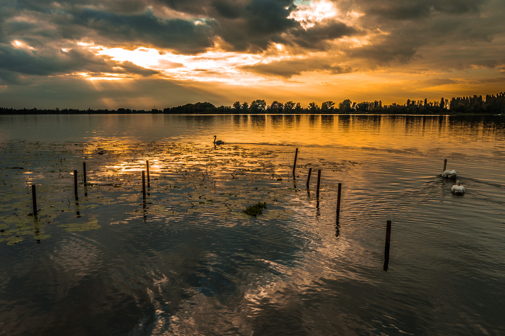 Samyang 14mm F2.8 ED AS IF UMC sample photo. Lago superiore, mantova - italy photography
