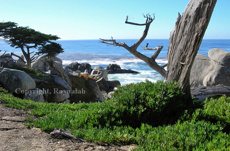 Nikon E4800 sample photo. Beckoning photography