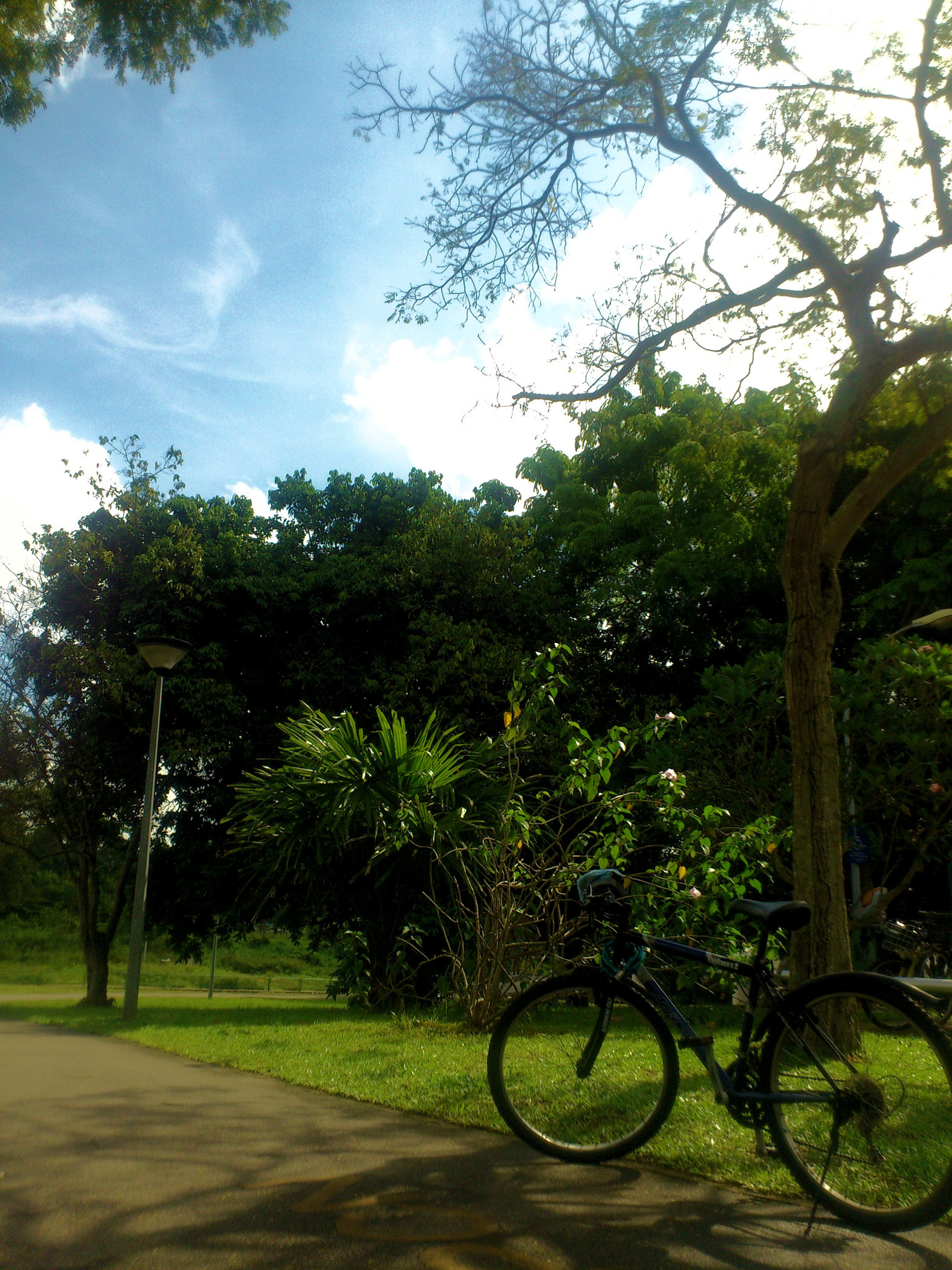 Sony Ericsson Xperia ray sample photo. It's a beautiful day photography