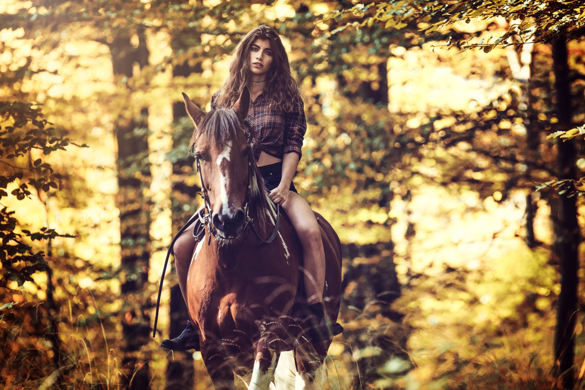Canon EF 200mm F2.8L II USM sample photo. Florentina photography
