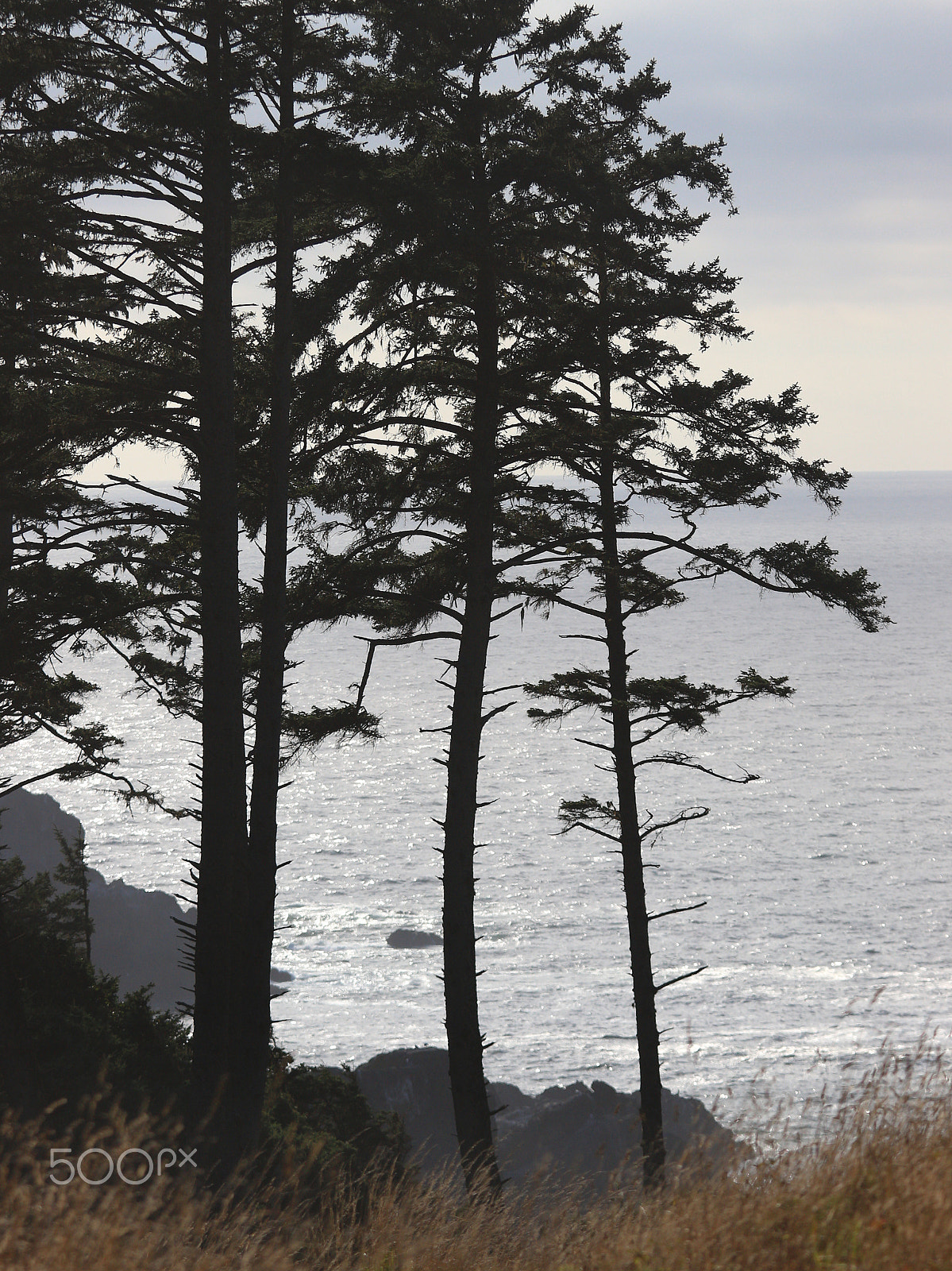 Canon EF 70-200mm F4L IS USM sample photo. Water's edge -ecola state park, oregon photography