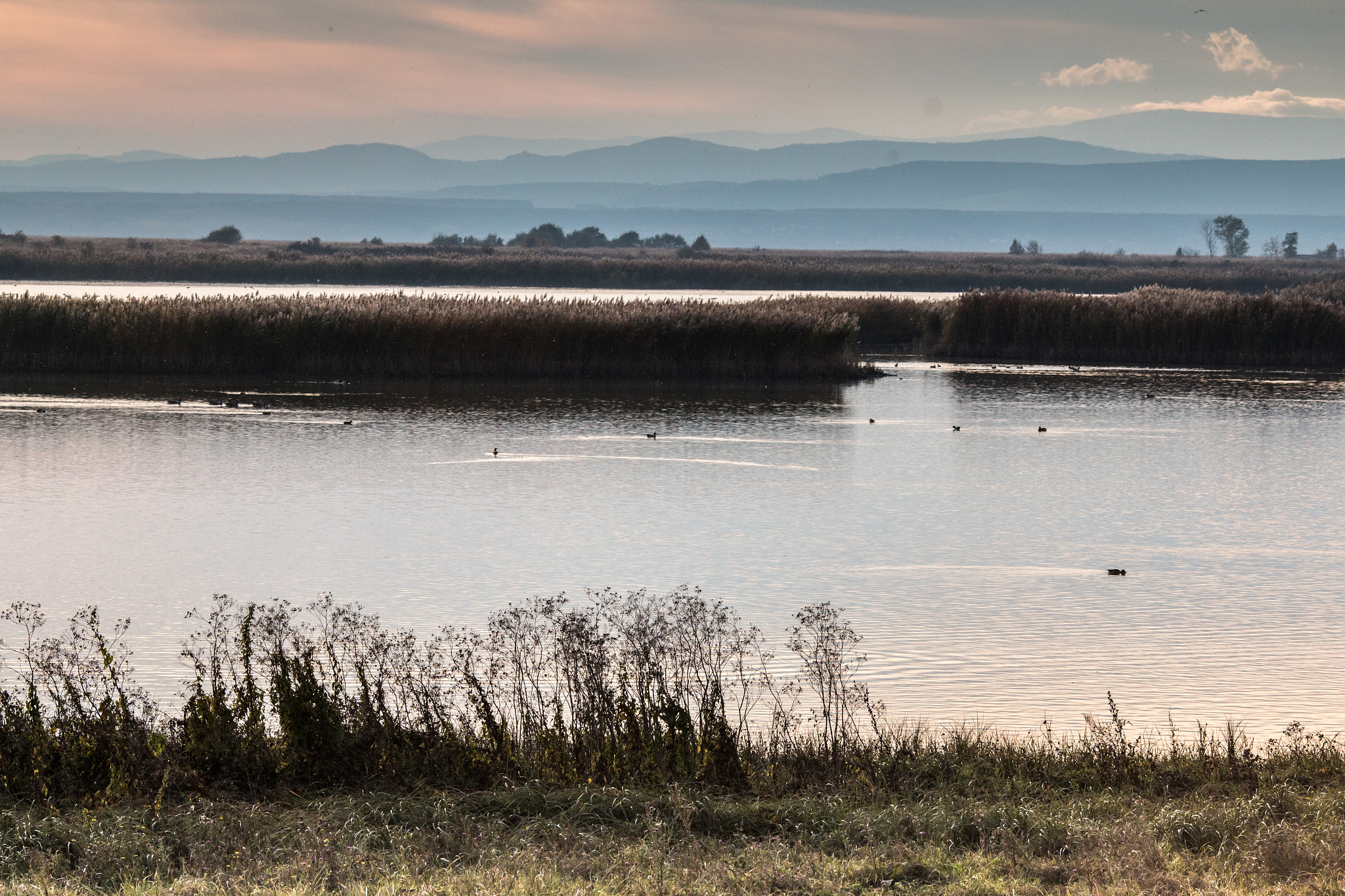 Canon EOS 70D + Canon EF 135mm F2L USM sample photo. Lakeside dusk iv photography