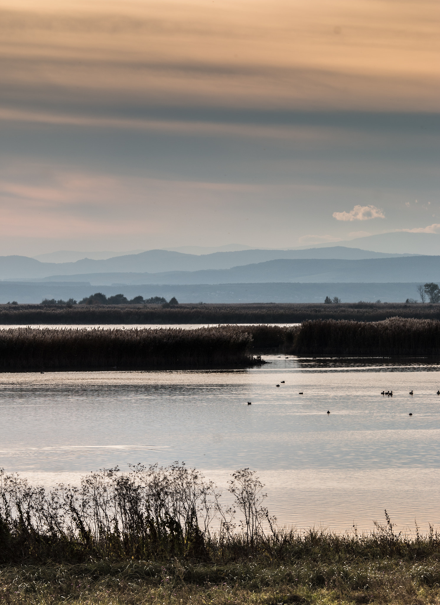 Canon EOS 70D + Canon EF 135mm F2L USM sample photo. Lakeside dusk i photography