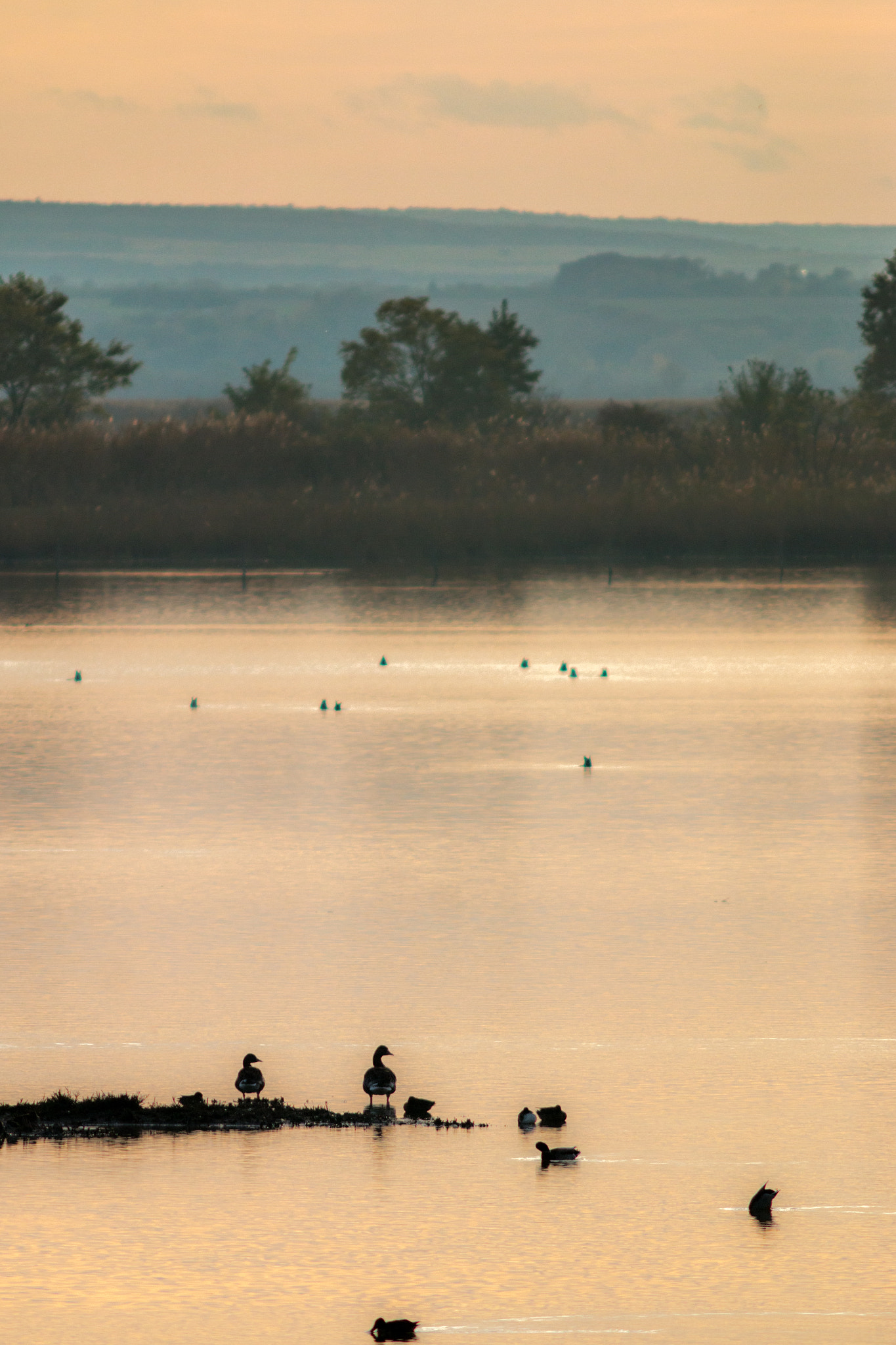Canon EF 200mm f/2.8L II + 2x sample photo. Lakeside dusk photography