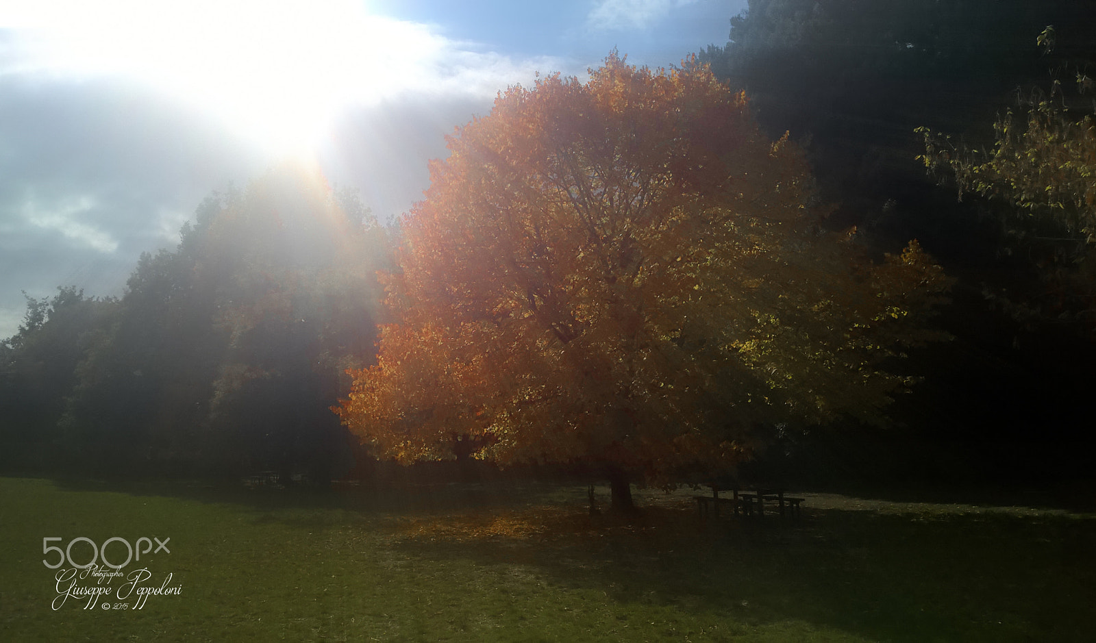 Nokia Lumia 1520 sample photo. Monteluco (pg) photography