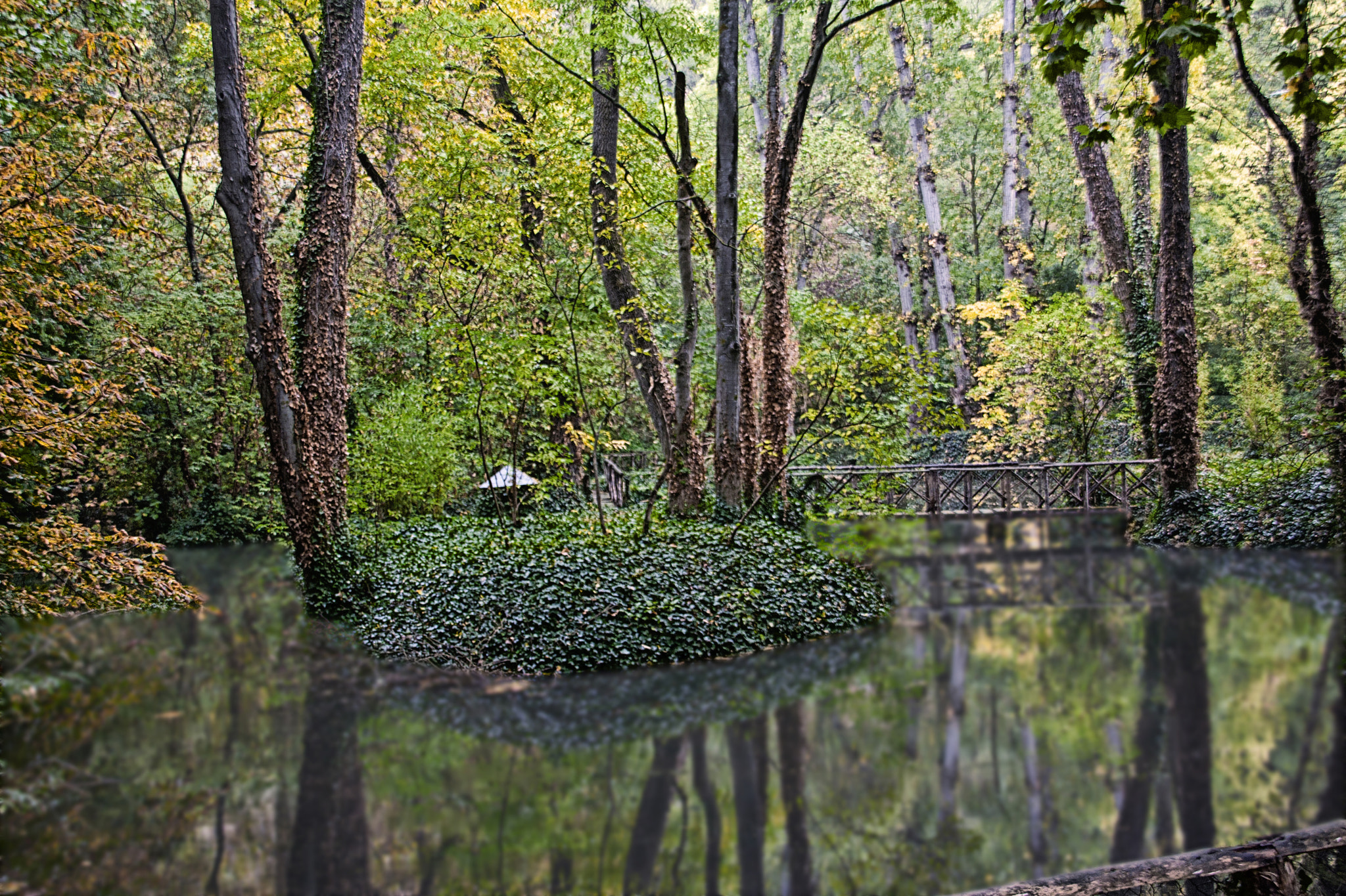 Sigma 18-200mm f/3.5-6.3 DC OS sample photo. Reflejos de otoño photography