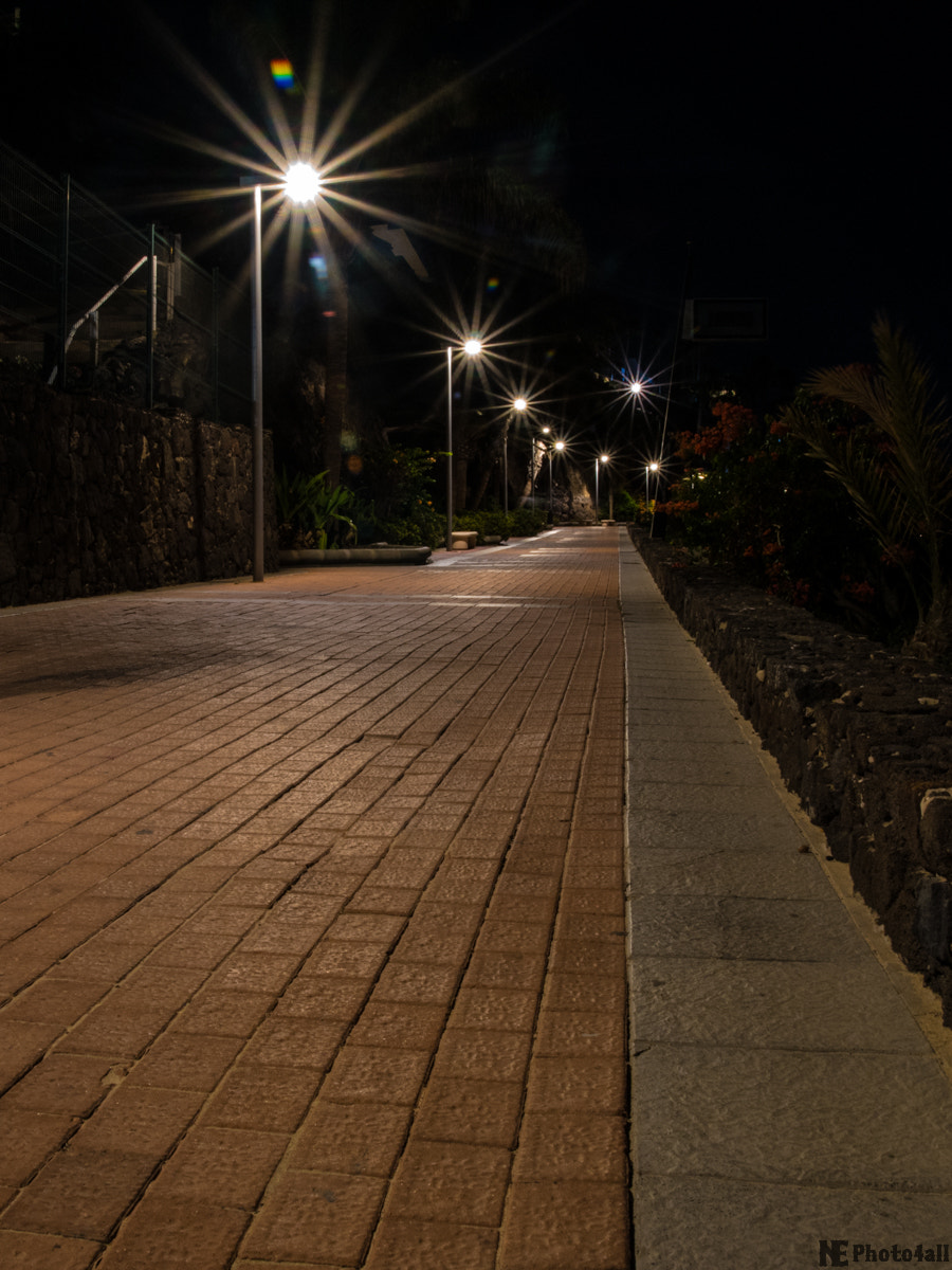 Sony ILCA-77M2 sample photo. Lights photography