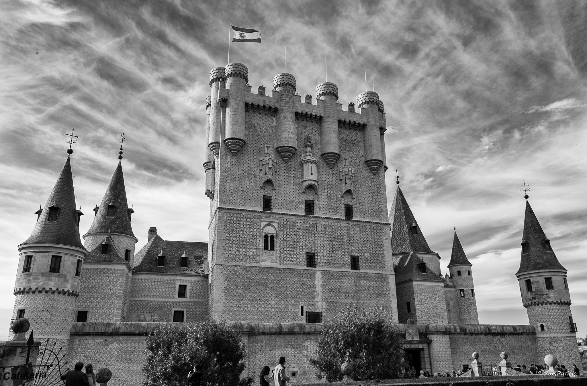 Sony Alpha DSLR-A230 sample photo. El alcazar de segovia photography