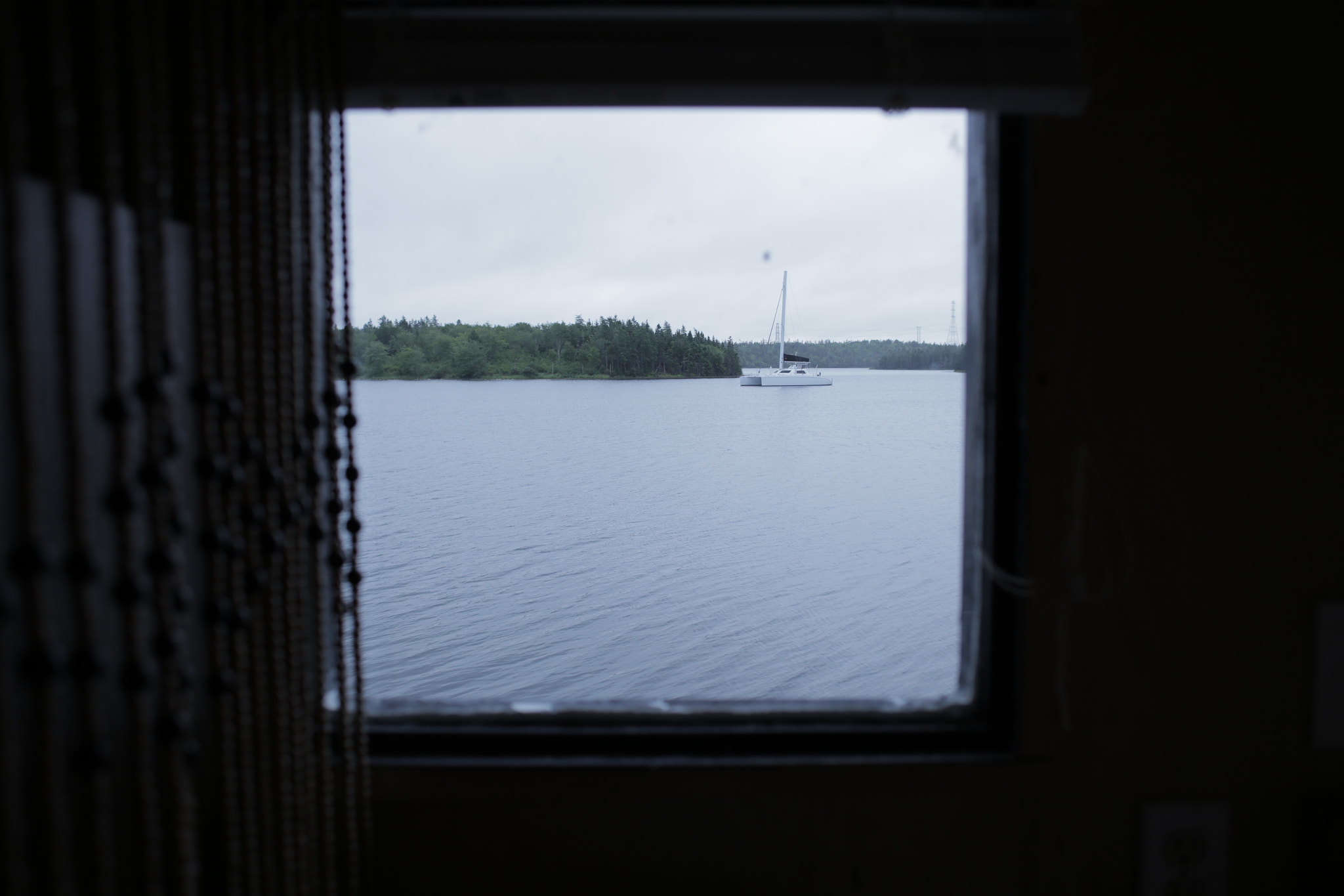 Canon EF 28mm F2.8 sample photo. Just visiting photography