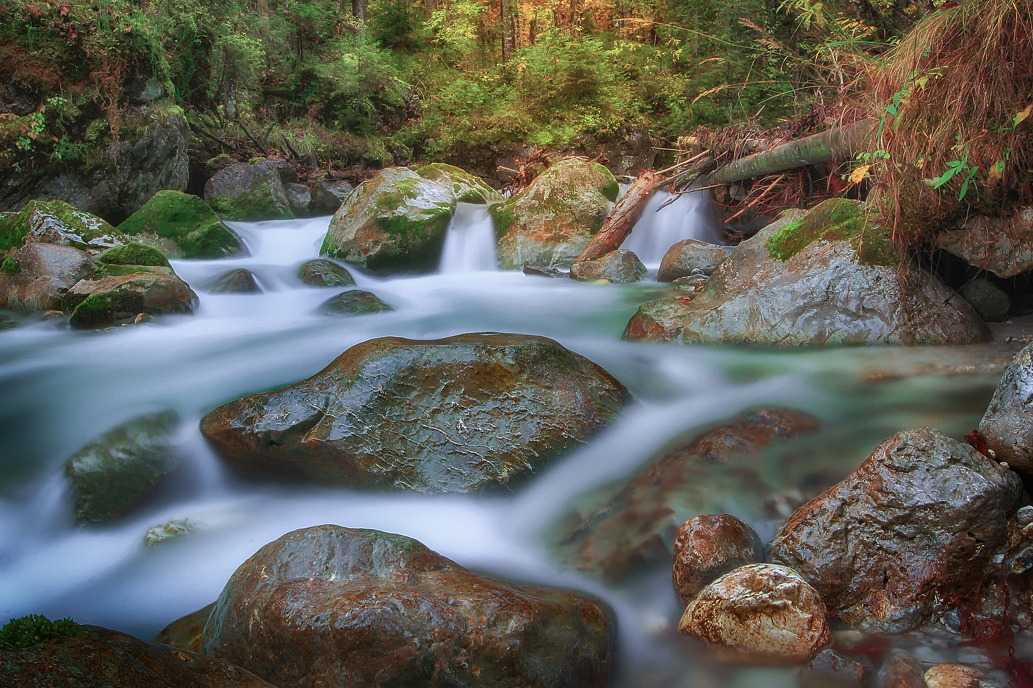 Sigma 12-24mm F4.5-5.6 II DG HSM sample photo. Zauberwald photography