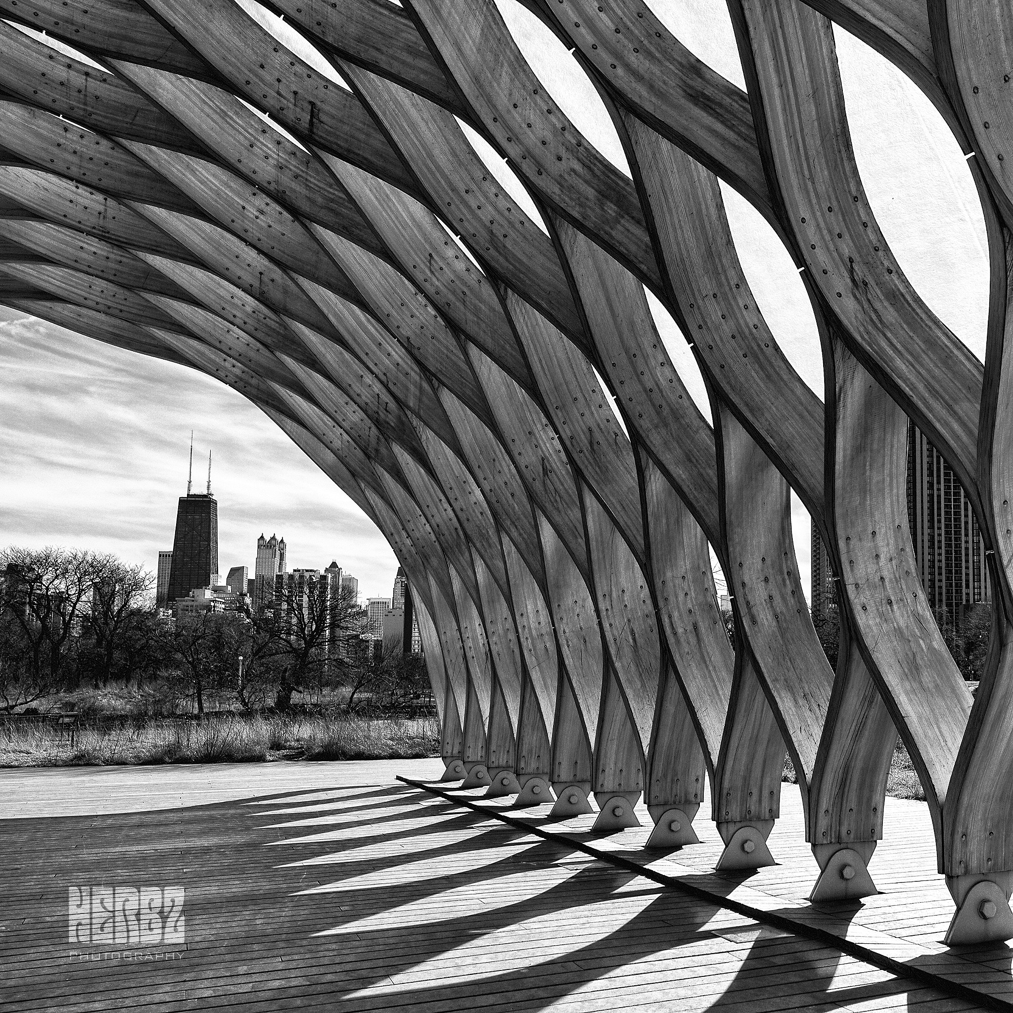 Canon EOS 5D Mark II + Canon TS-E 24.0mm f/3.5 L II sample photo. City from the zoo photography