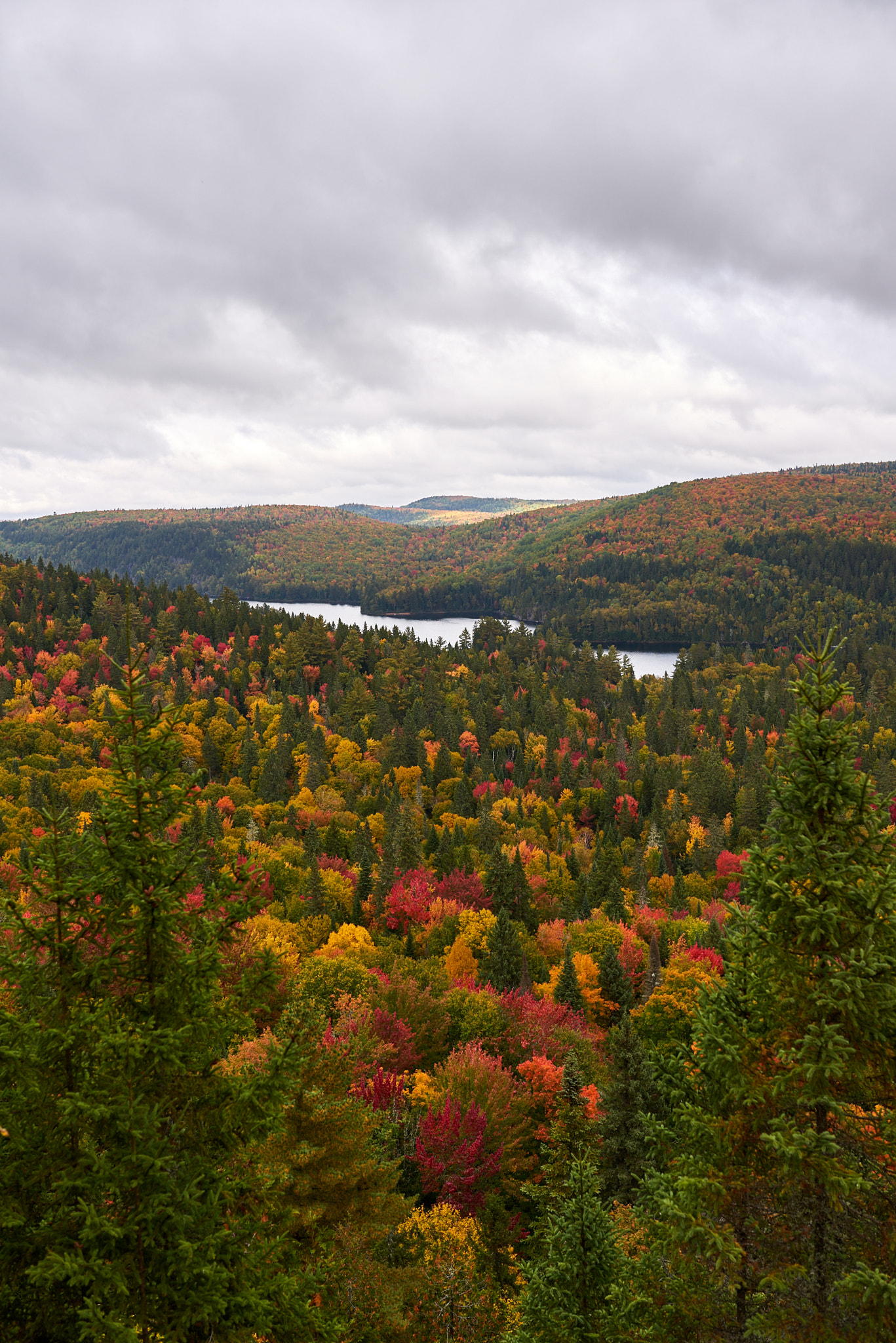 Sigma 35mm F1.4 DG HSM Art sample photo. Algonquin provincial park photography