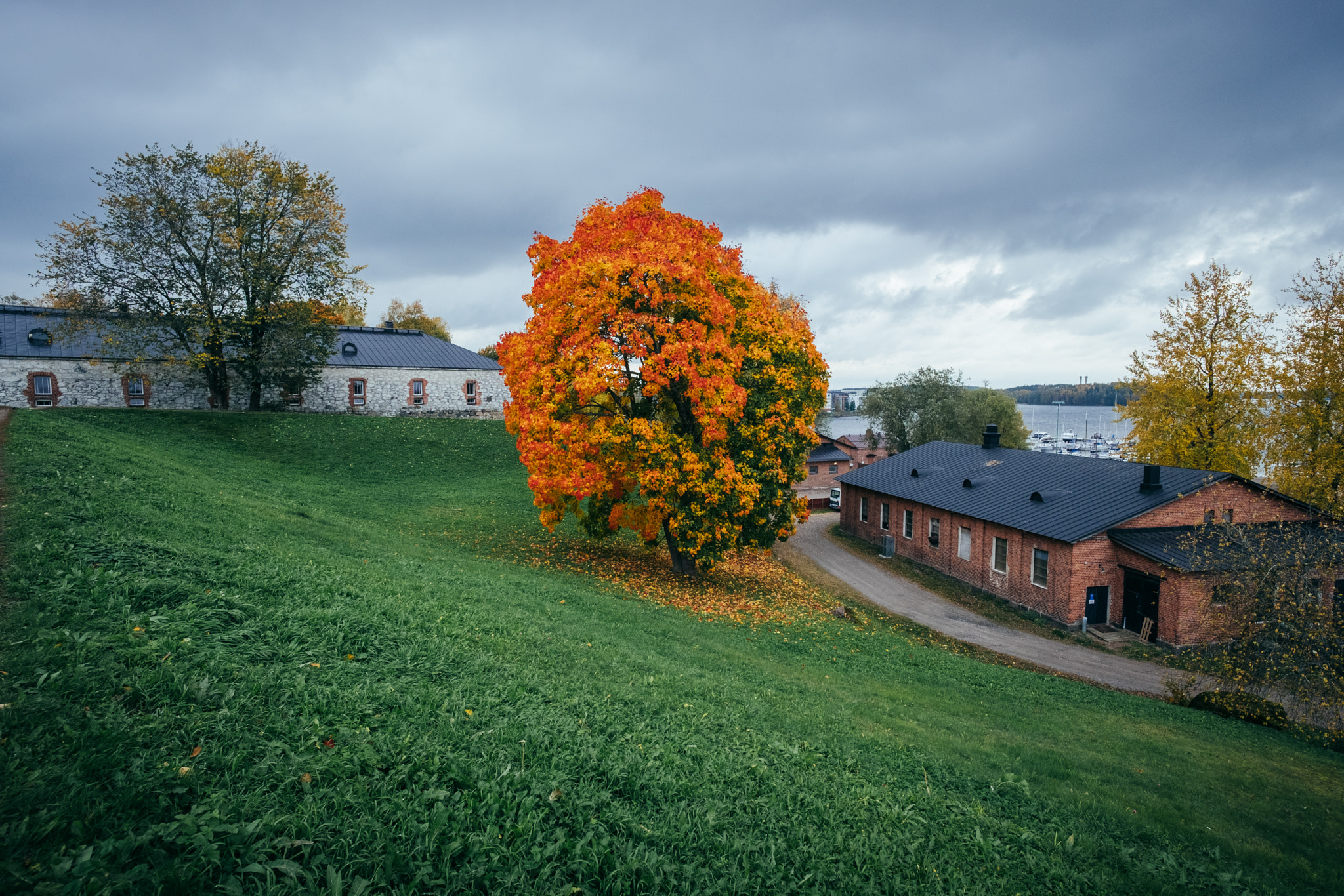 Fujifilm X-Pro2 + ZEISS Touit 12mm F2.8 sample photo. Autumn colors photography