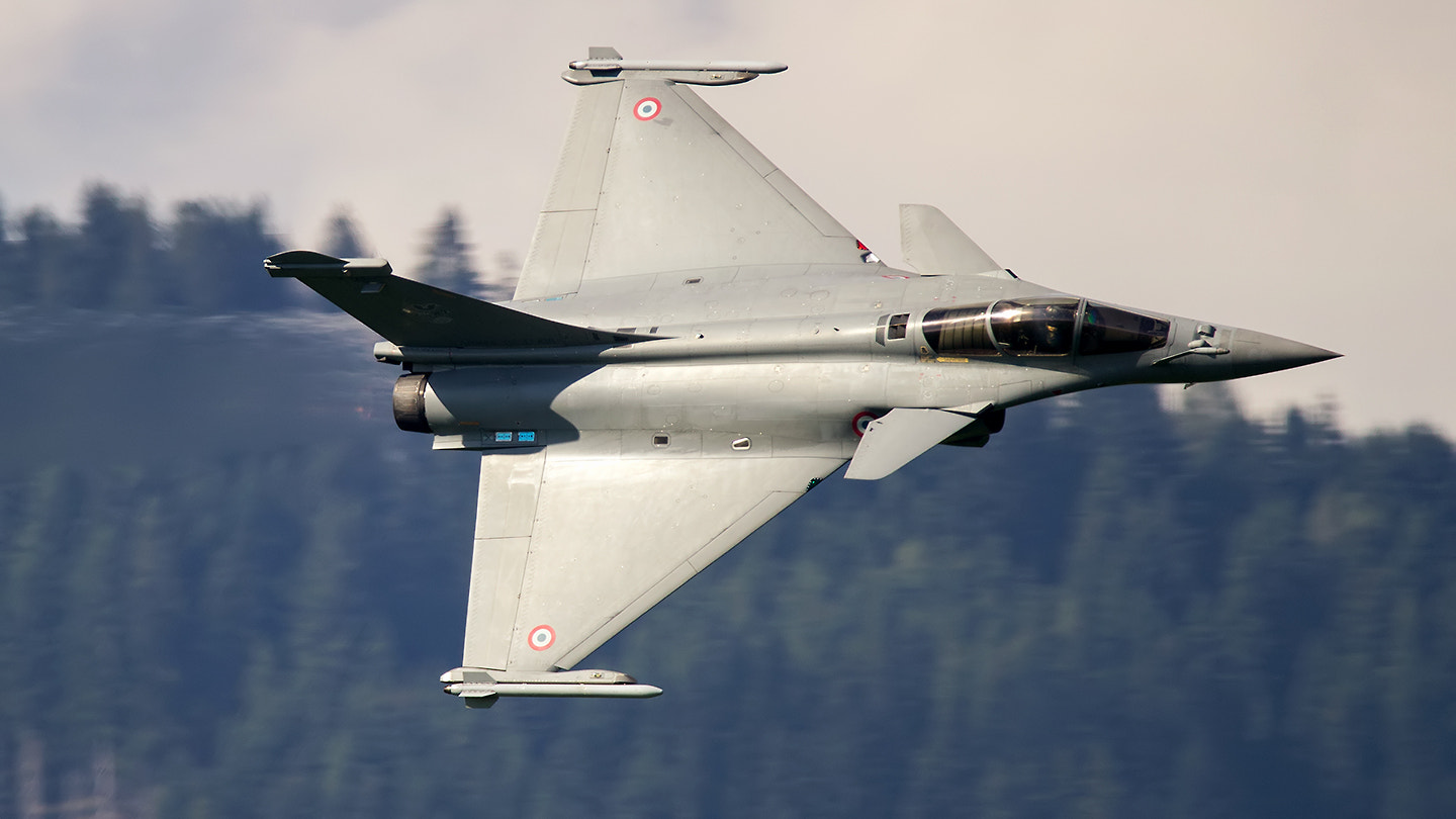 150-600mm F5-6.3 DG OS HSM | Contemporary 015 sample photo. Rafale photography