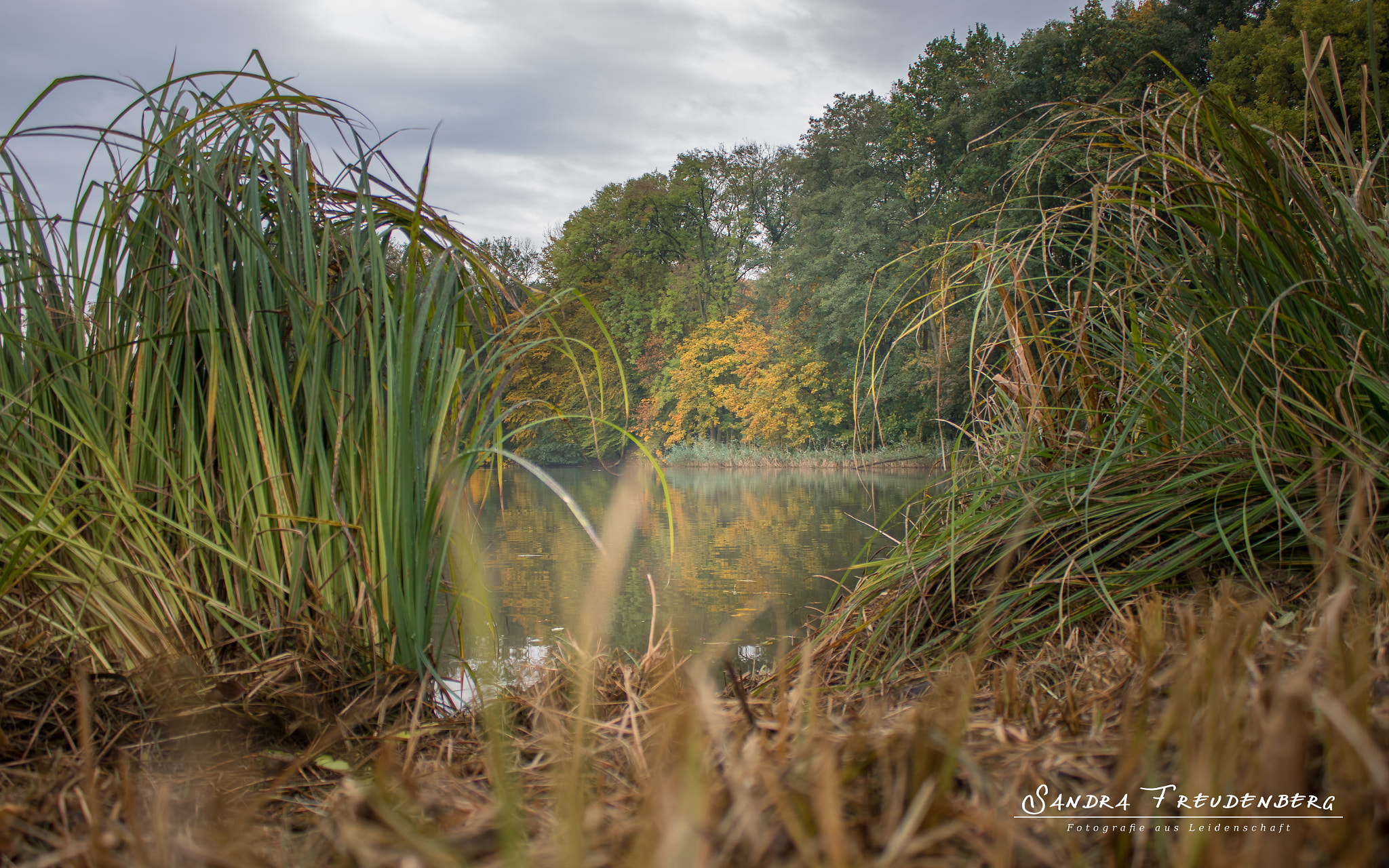 Canon EOS 7D Mark II + Canon EF-S 18-55mm F3.5-5.6 IS sample photo. Autumn lake photography