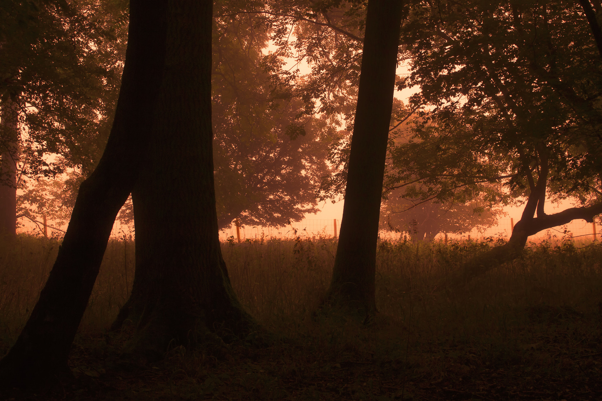 Panasonic Lumix DMC-GF6 + Sigma 30mm F2.8 DN Art sample photo. Sunrise photography