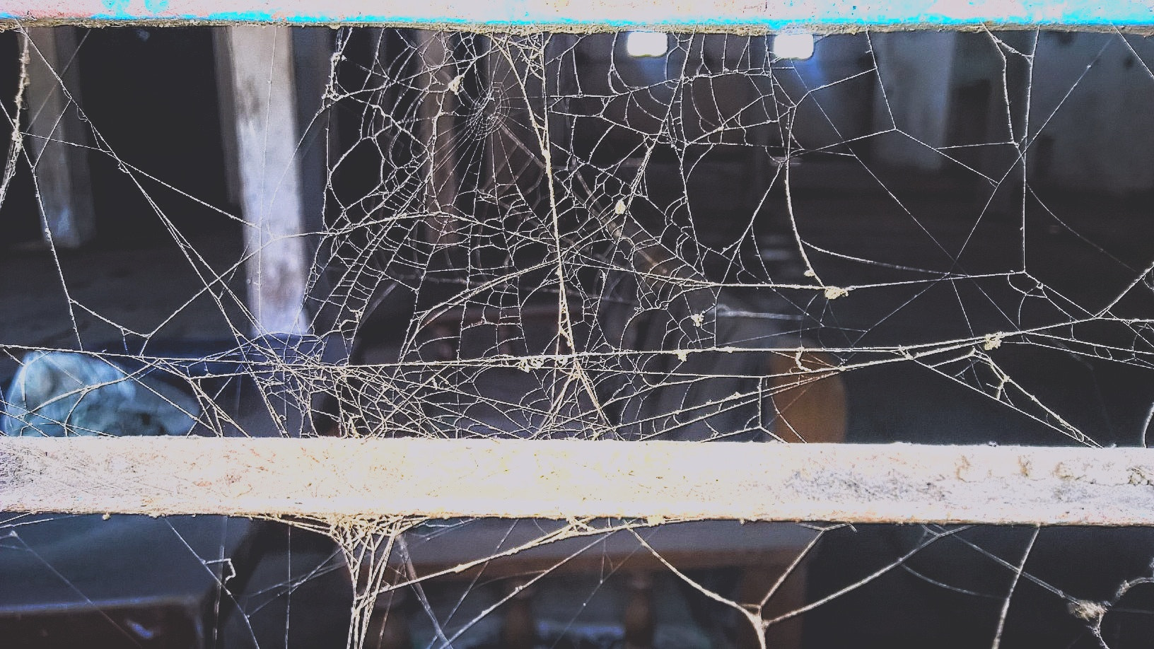 Nokia Lumia 1520 sample photo. Life.... full of complexities photography