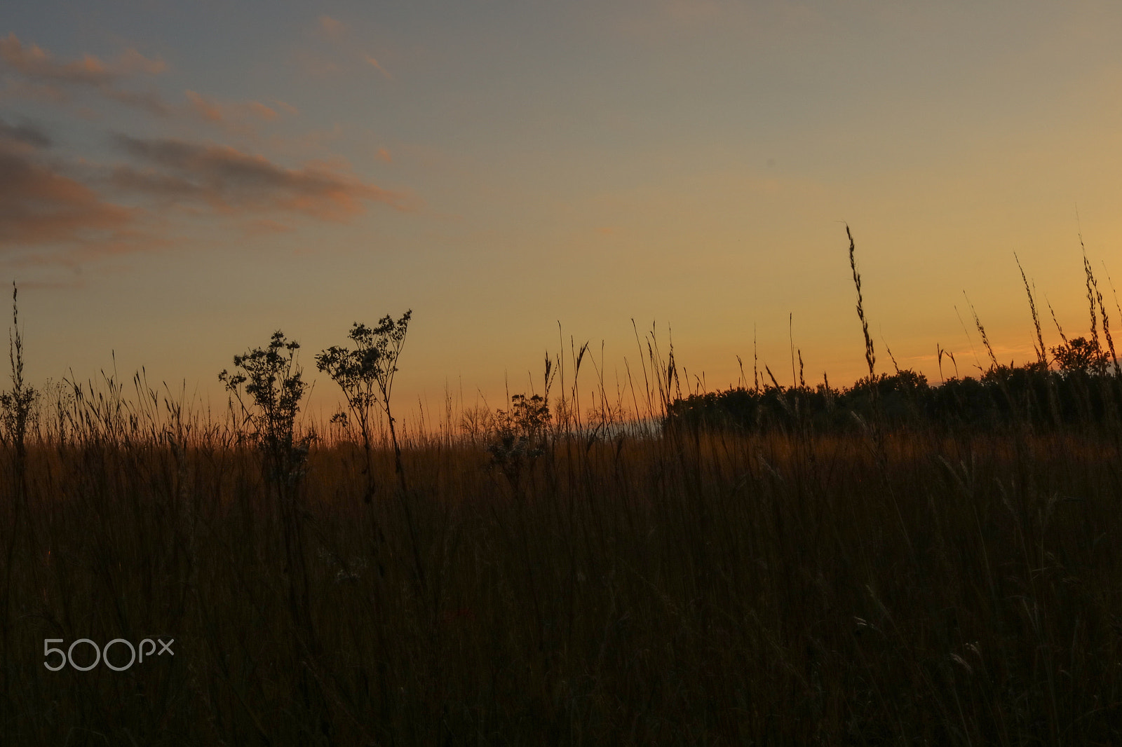 Canon EF-S 24mm F2.8 STM sample photo. Img photography