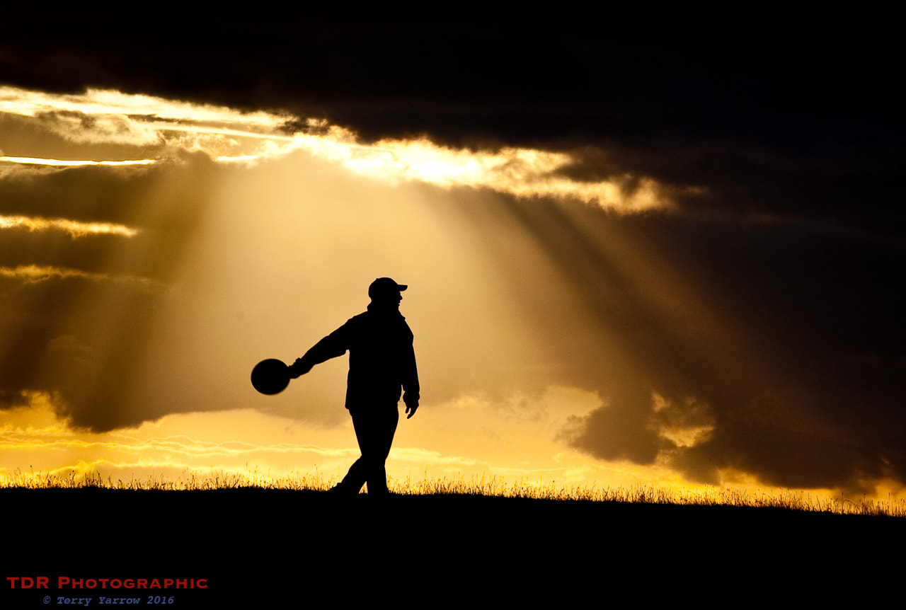 Canon EOS 5D + Canon EF 70-200mm F4L USM sample photo. Frisby at sunset photography