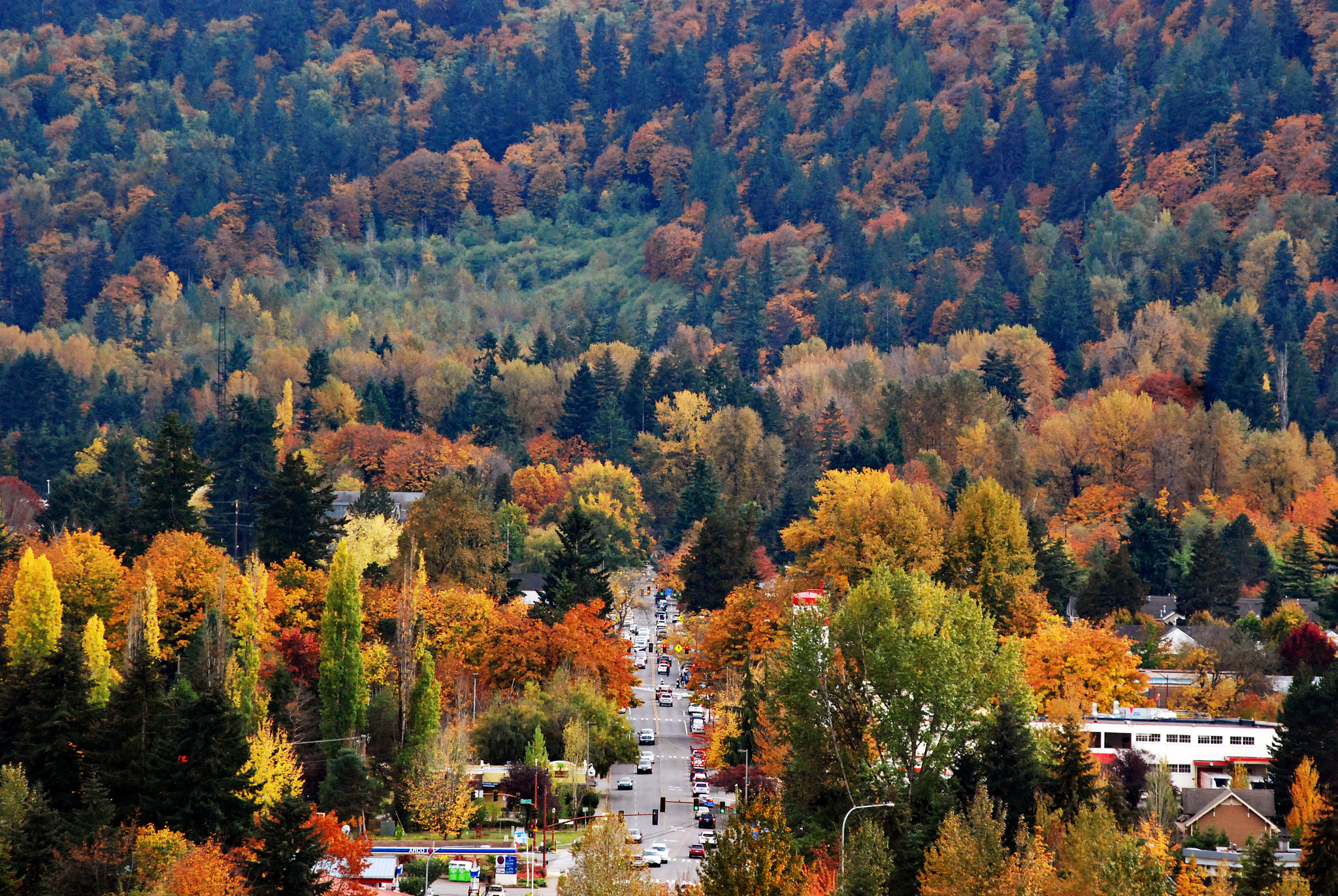 Nikon AF-Nikkor 80-200mm F2.8D ED sample photo. Fall foliage in issaquah photography
