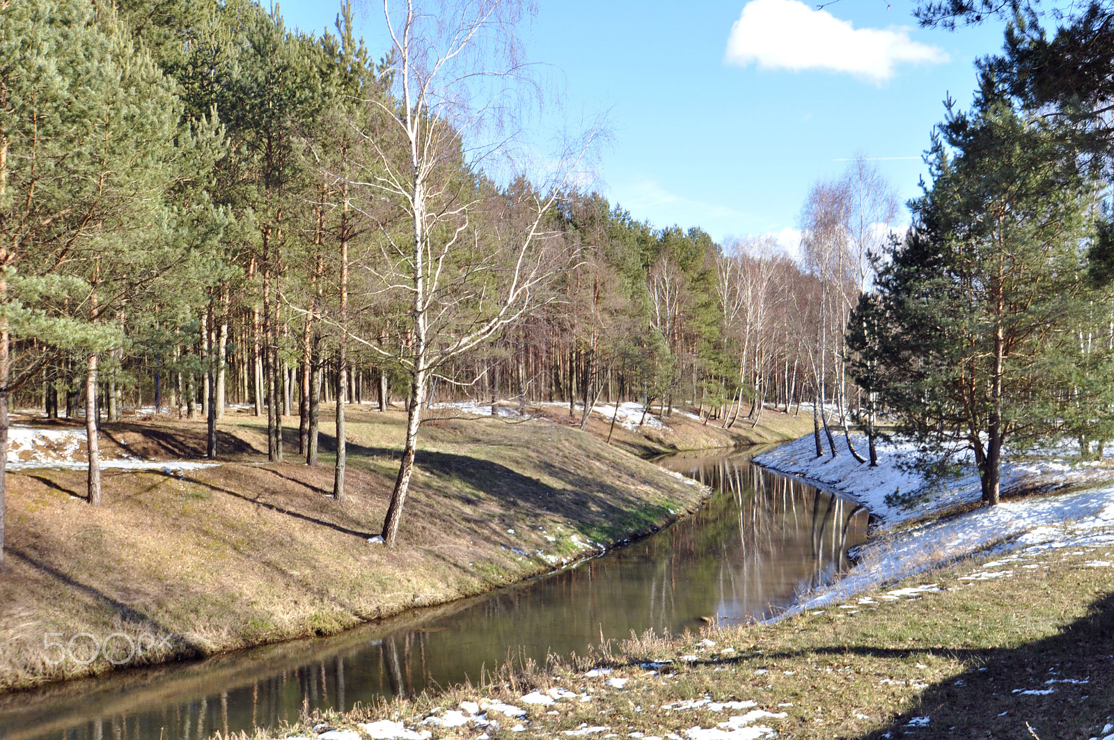 Nikon D5000 sample photo. Spring photography