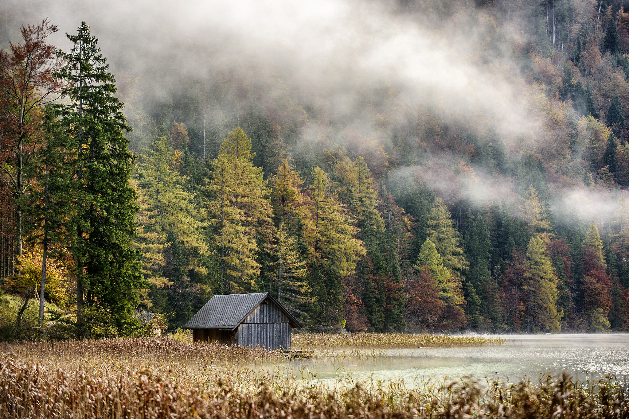 Nikon Df sample photo. Autum colours photography