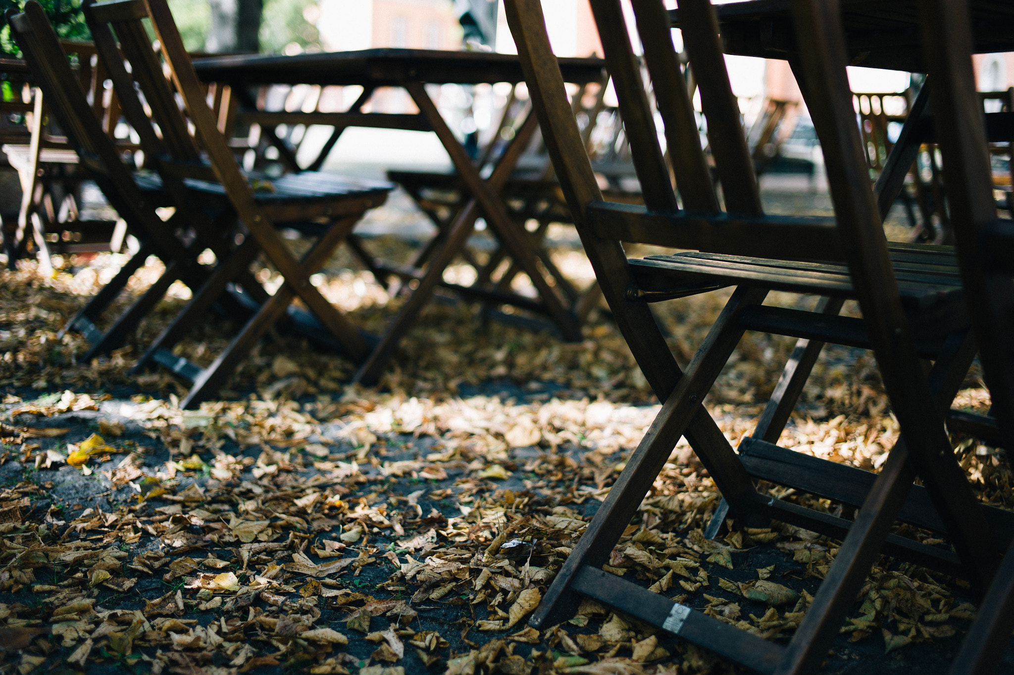 Leica M9 + Leica Summilux-M 35mm F1.4 ASPH sample photo. - photography