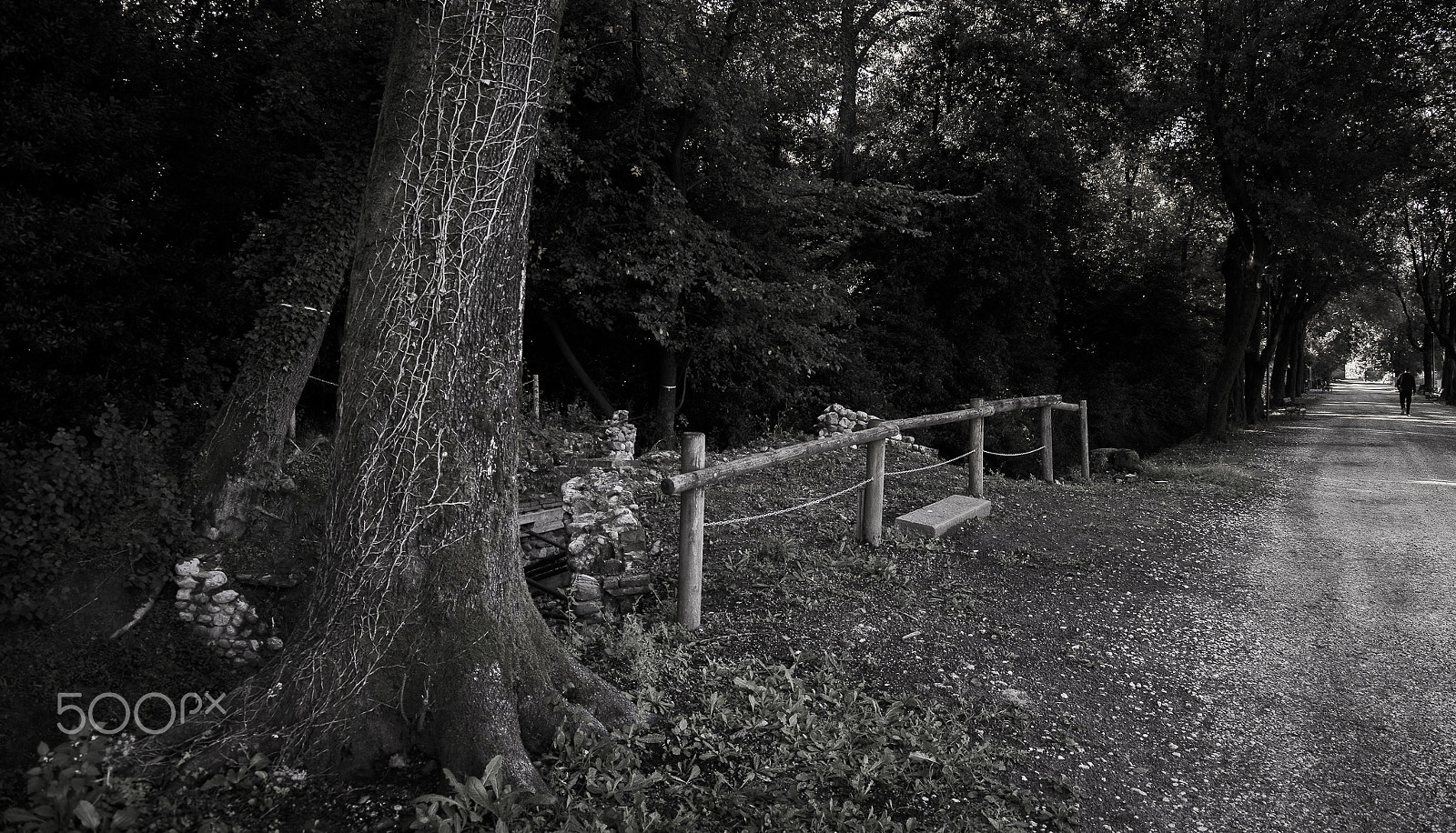 Pentax smc DA 17-70mm F4.0 AL (IF) SDM sample photo. Died ivy ii photography