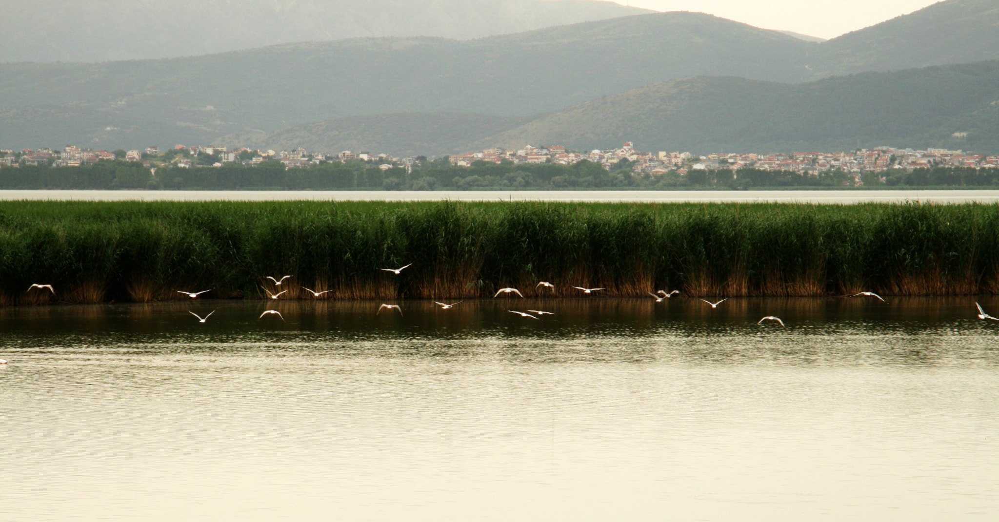 Canon EF 24-105mm F3.5-5.6 IS STM sample photo. Ioannina lake - pamvotis photography