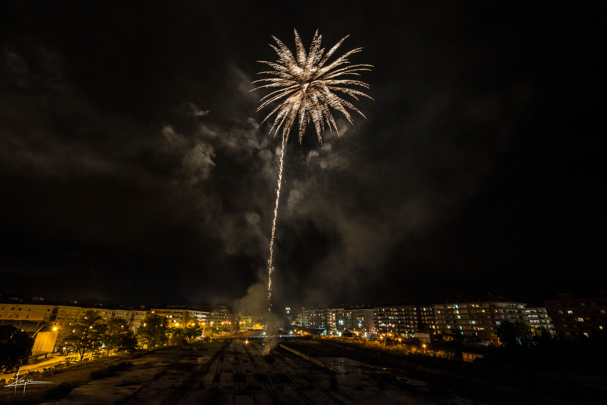 Nikon AF-S Nikkor 17-35mm F2.8D ED-IF sample photo. Palm tree firework photography