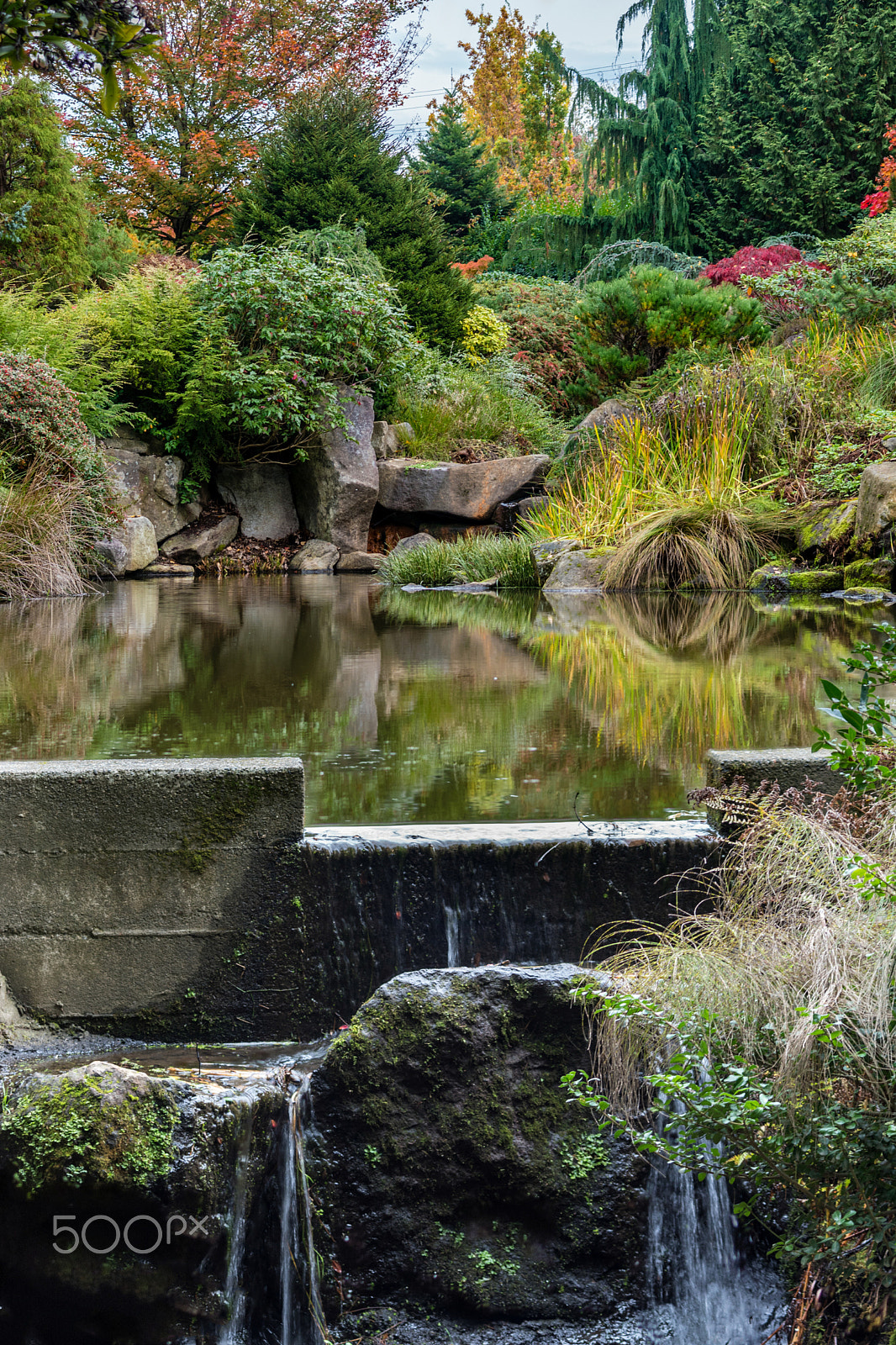 Nikon D5500 sample photo. Kubota garden photography