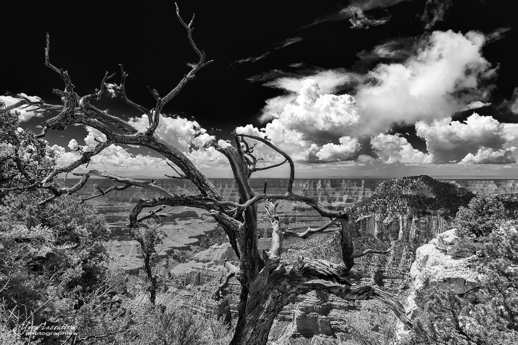 Sigma 17-70mm F2.8-4 DC Macro OS HSM sample photo. Bright angel point trail photography