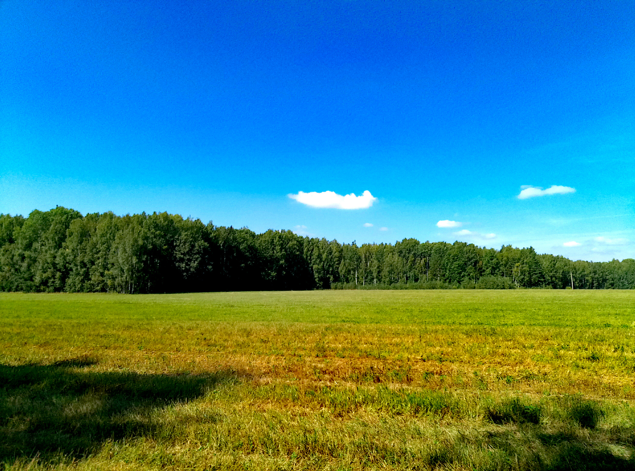 Meizu M3s sample photo. Поле в Пятово photography