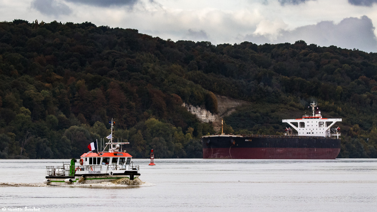 Canon EF 100-400mm F4.5-5.6L IS USM sample photo. Police portuaire et beaufiks photography