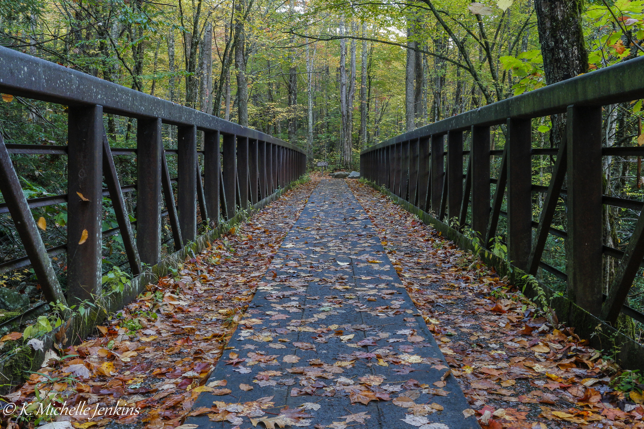 Canon EOS 650D (EOS Rebel T4i / EOS Kiss X6i) sample photo. Tremont footbridge photography