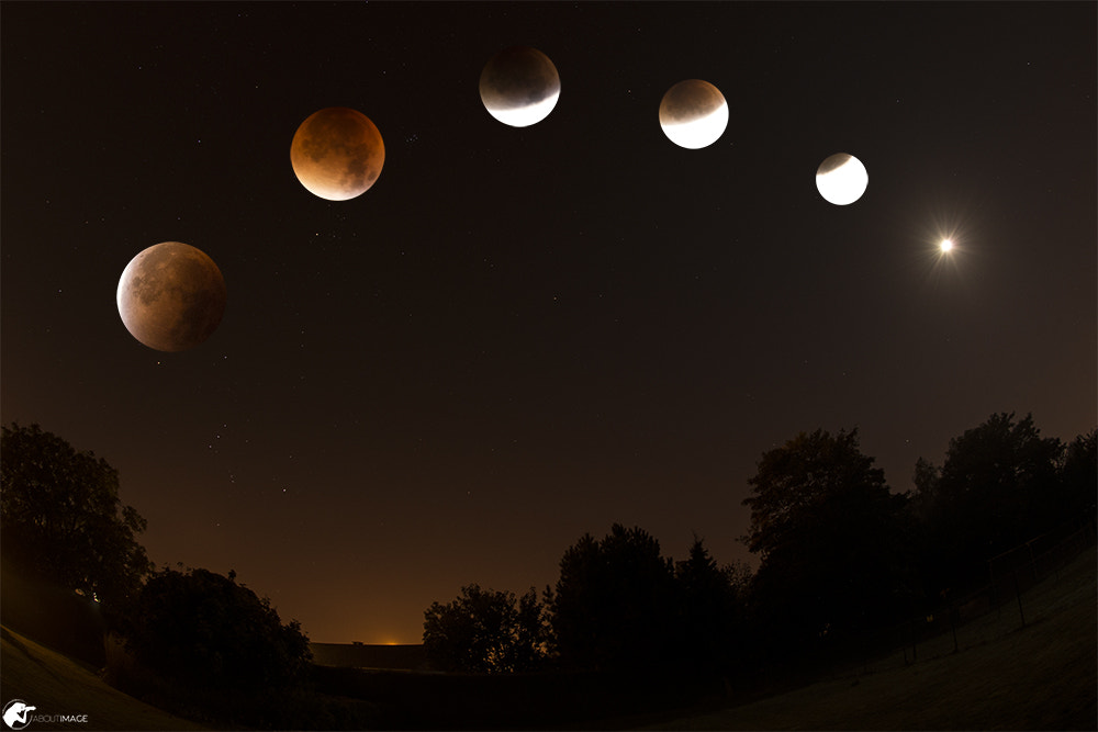 Nikon D610 + Nikon AF DX Fisheye-Nikkor 10.5mm F2.8G ED sample photo. Blood moon 2015 photography