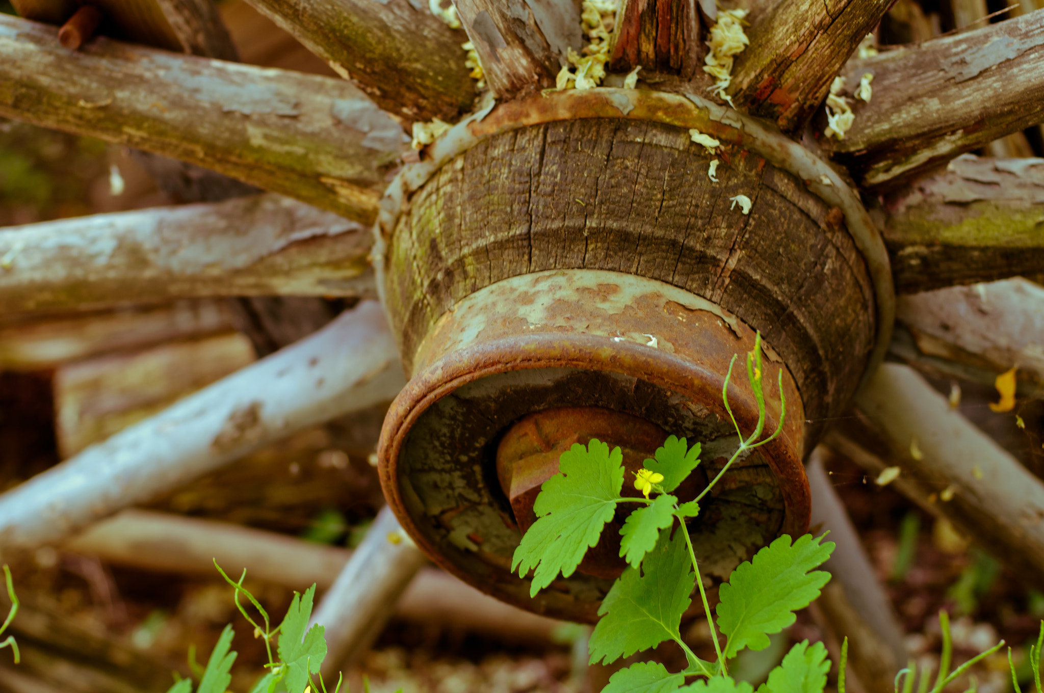 Nikon D300S + Nikon AF Nikkor 50mm F1.4D sample photo. Old style wheel photography