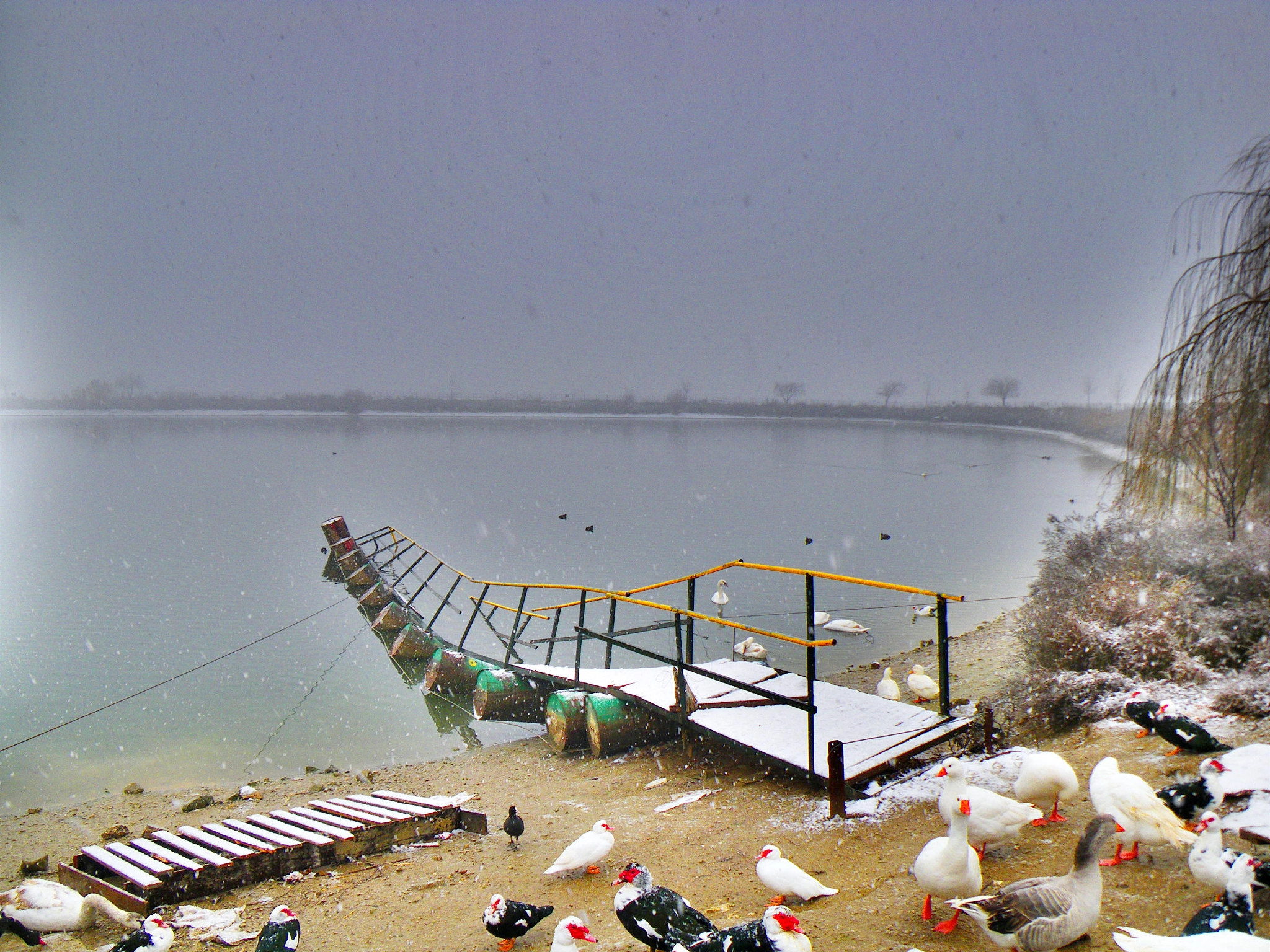 Pentax Optio W60 sample photo. Lake of lefkonas-serres-imgp photography