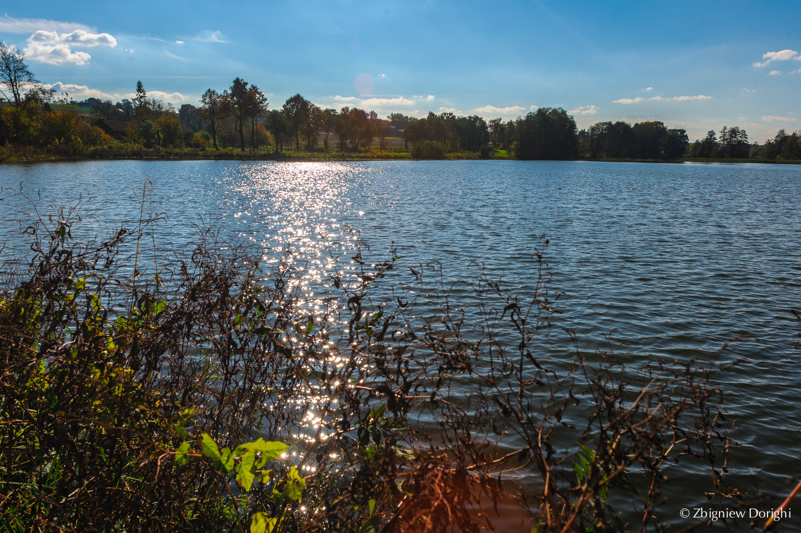 Nikon D700 + Sigma 24mm F1.8 EX DG Aspherical Macro sample photo. Reflections photography