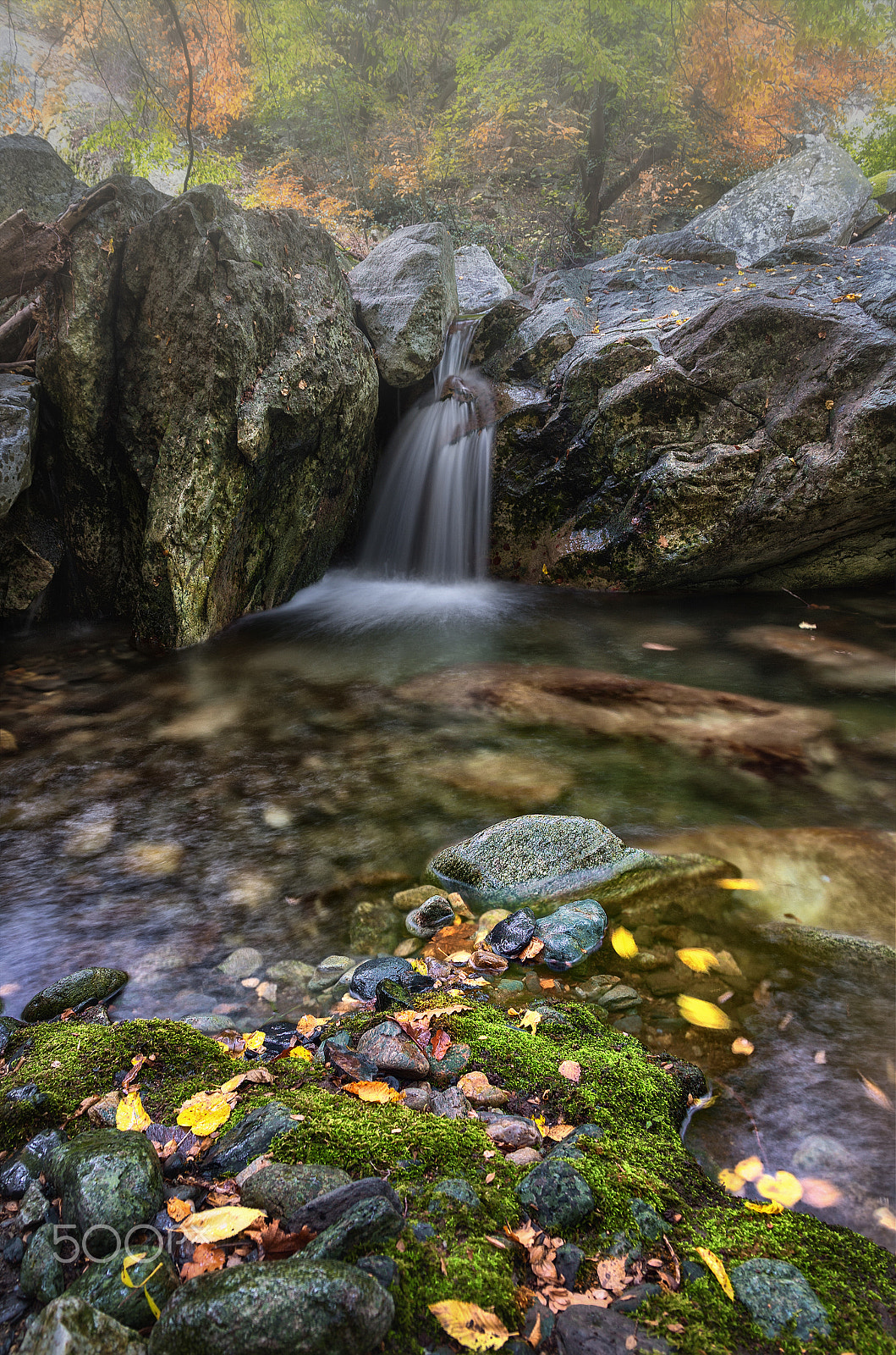 Pentax K-50 sample photo. Simply autumn photography
