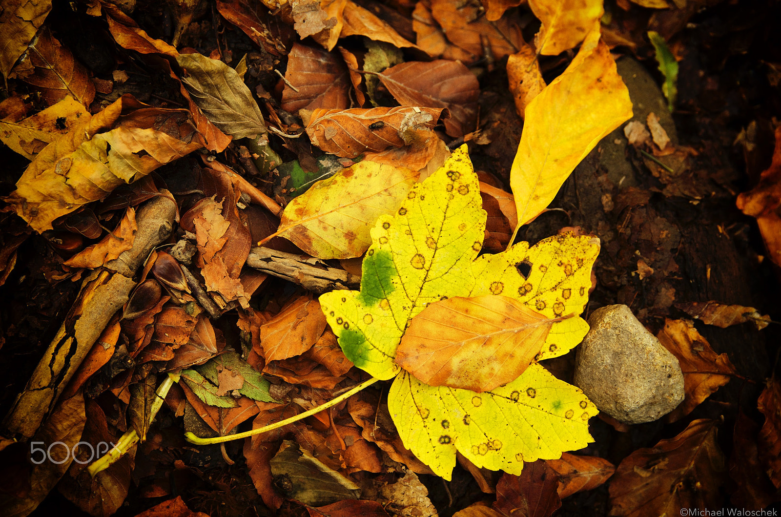 Pentax K-5 II sample photo. Autumn colours photography