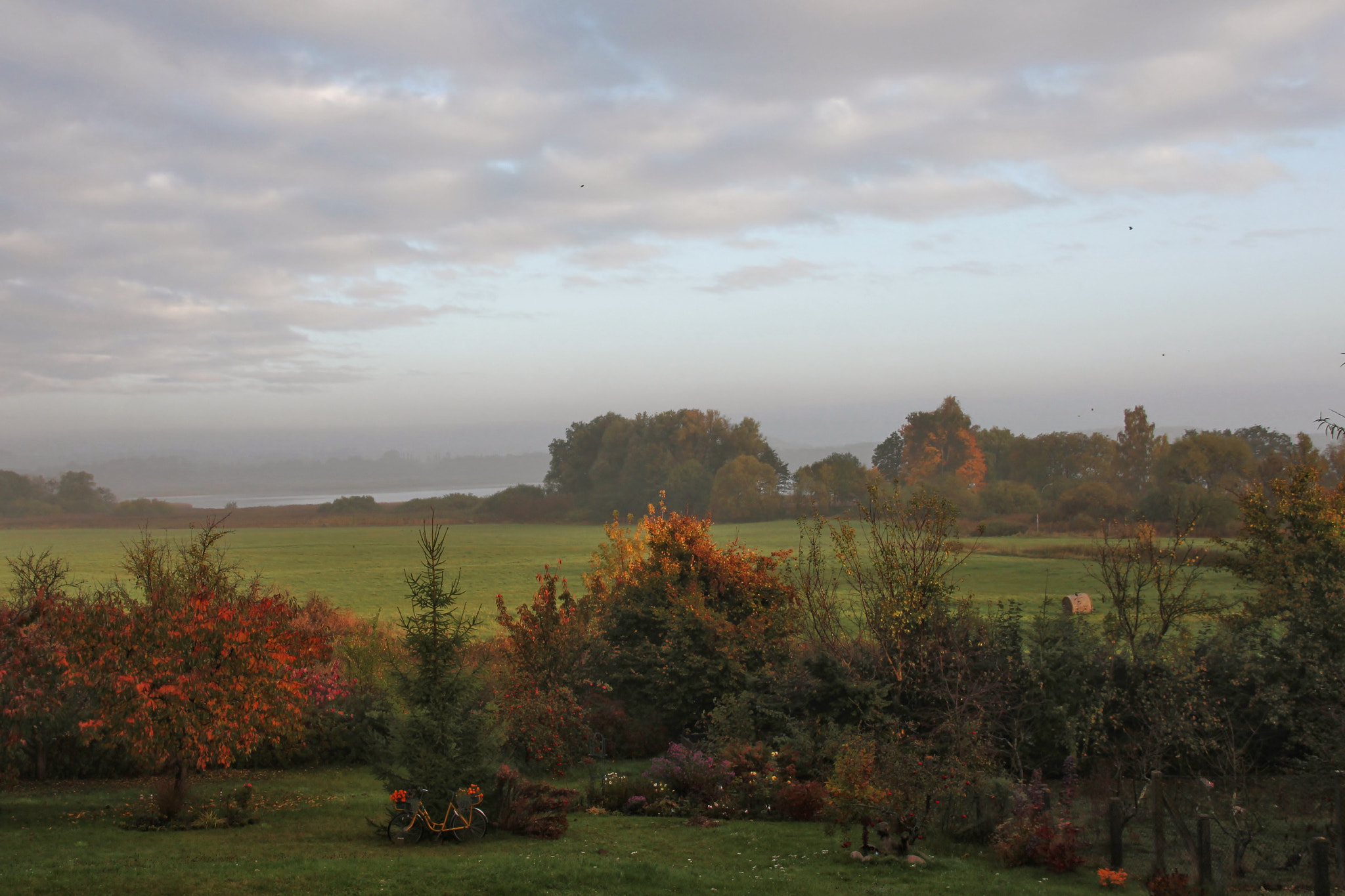 Canon EOS 600D (Rebel EOS T3i / EOS Kiss X5) sample photo. Blick aus dem fenster photography