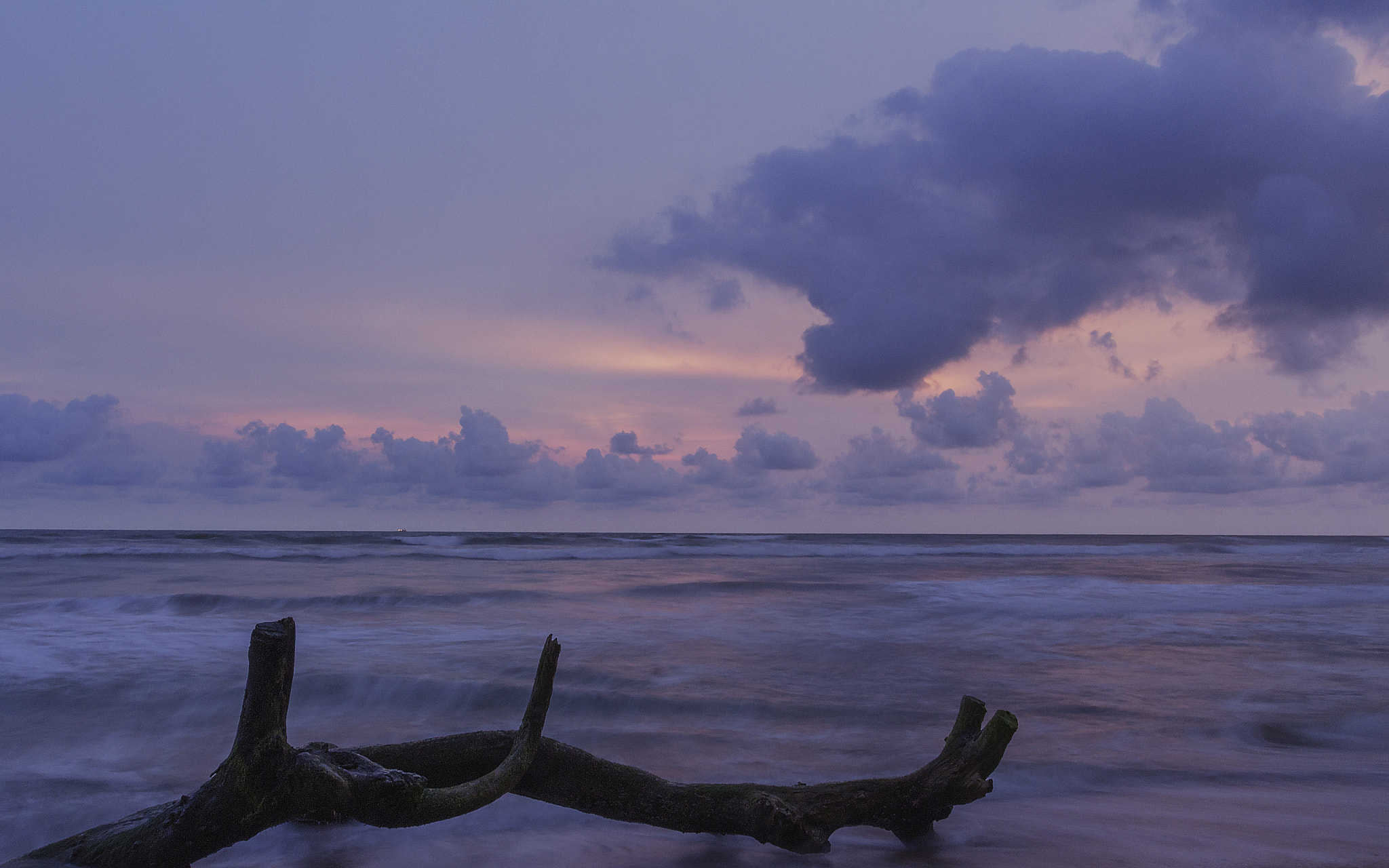 Canon EOS 700D (EOS Rebel T5i / EOS Kiss X7i) + Canon EF 17-40mm F4L USM sample photo. Sri lanka. 2016 photography