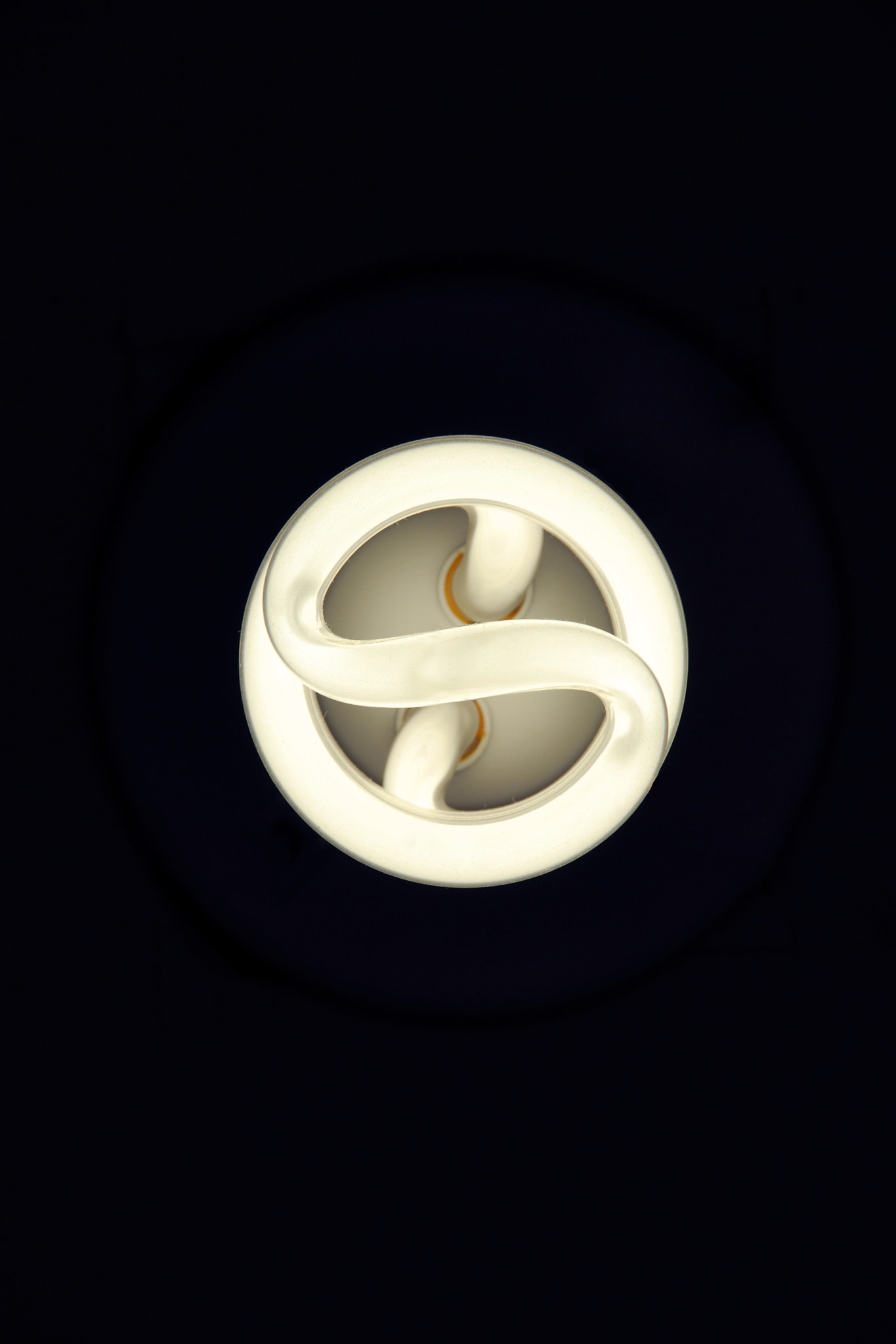 Nikon D200 sample photo. Light bulb photography