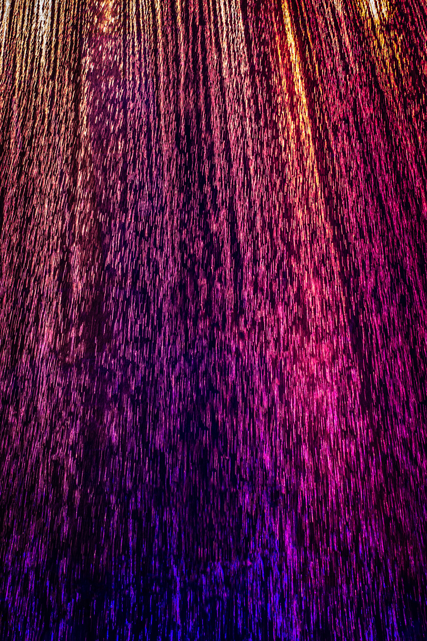 Canon EOS 600D (Rebel EOS T3i / EOS Kiss X5) + Canon EF 40mm F2.8 STM sample photo. Purple rain photography