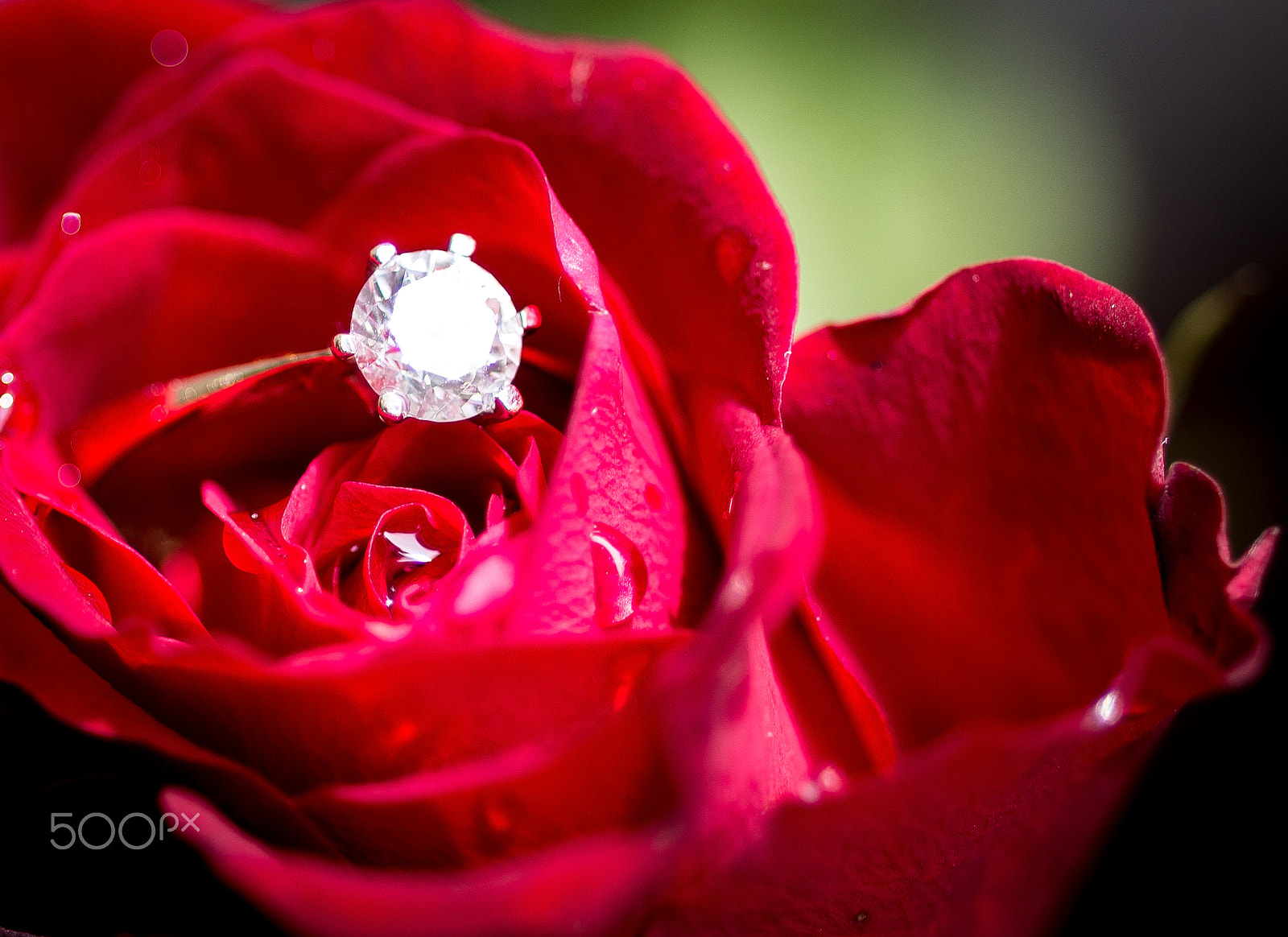 Nikon D610 + Nikon AF Micro-Nikkor 60mm F2.8D sample photo. Wedding ring photography